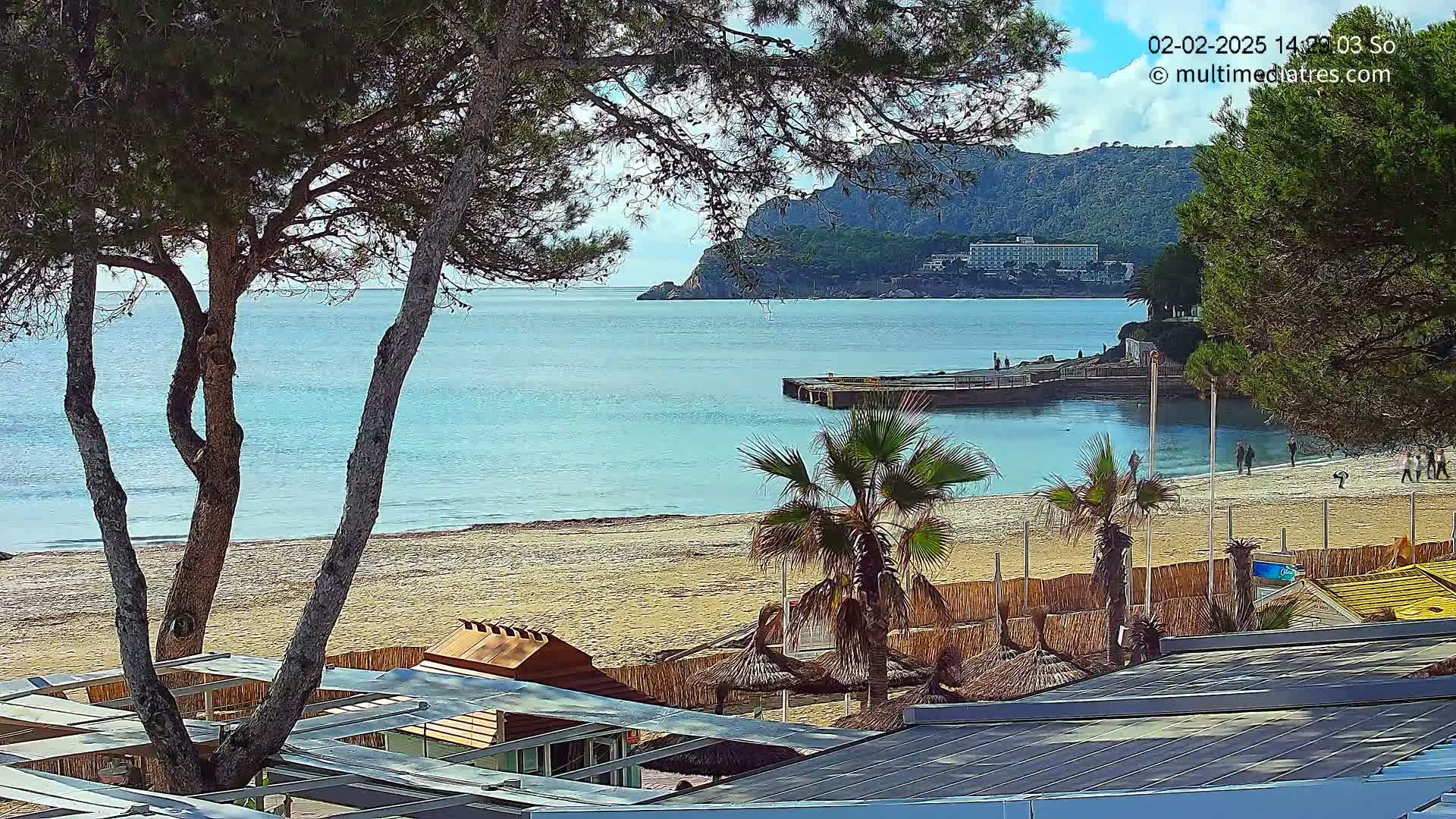 A sandy beach with calm, light blue water, palm trees, and beach structures is viewed from behind pine trees under a partly cloudy sky.