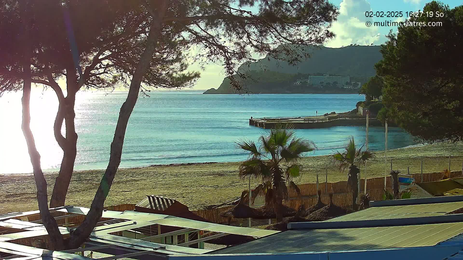 A sandy beach with calm, blue water, palm trees, and beach structures is seen from behind trees under a mostly sunny sky.