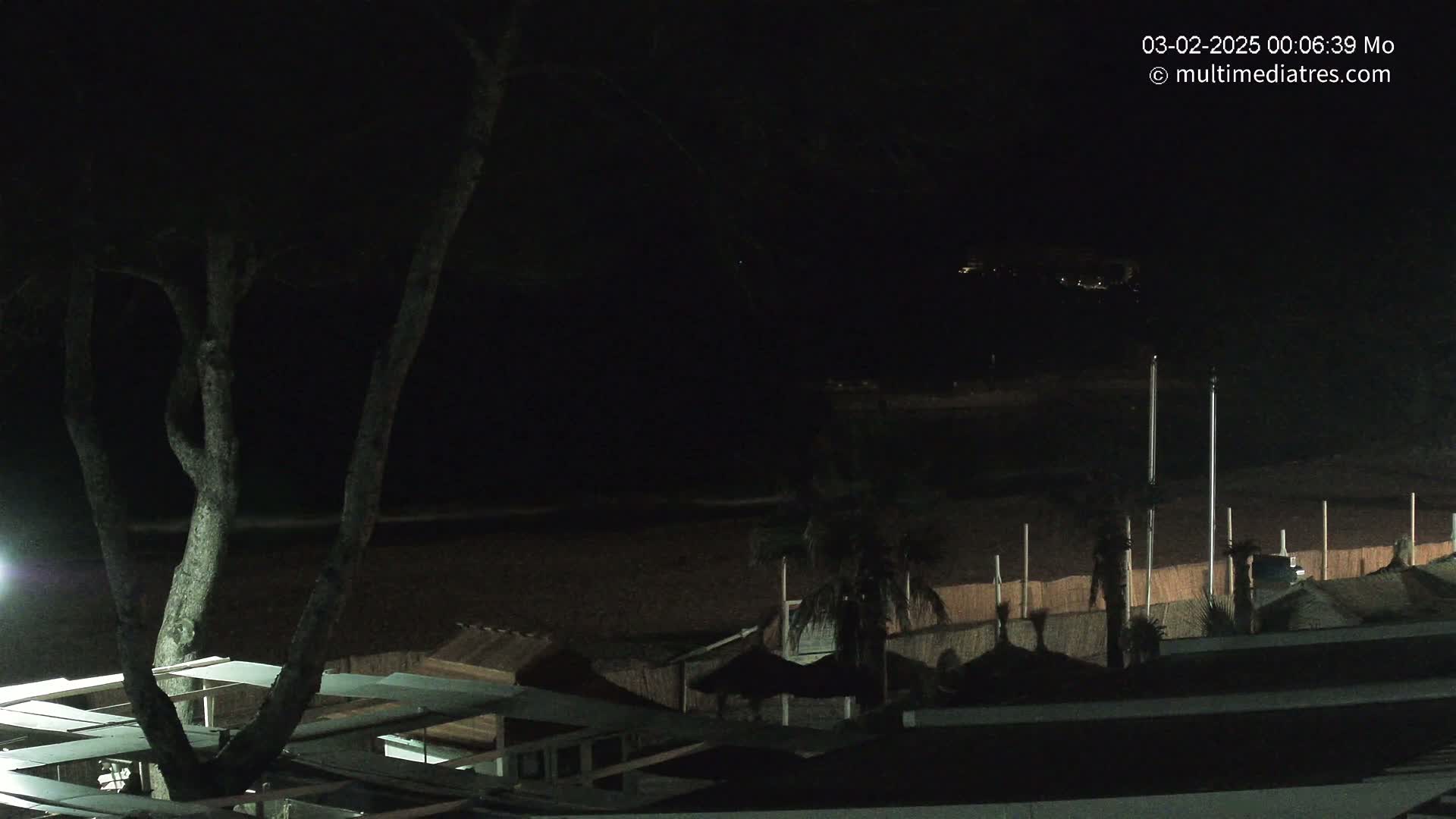 A dark, nighttime view of a beach with several structures, palm trees, and a tree in the foreground.