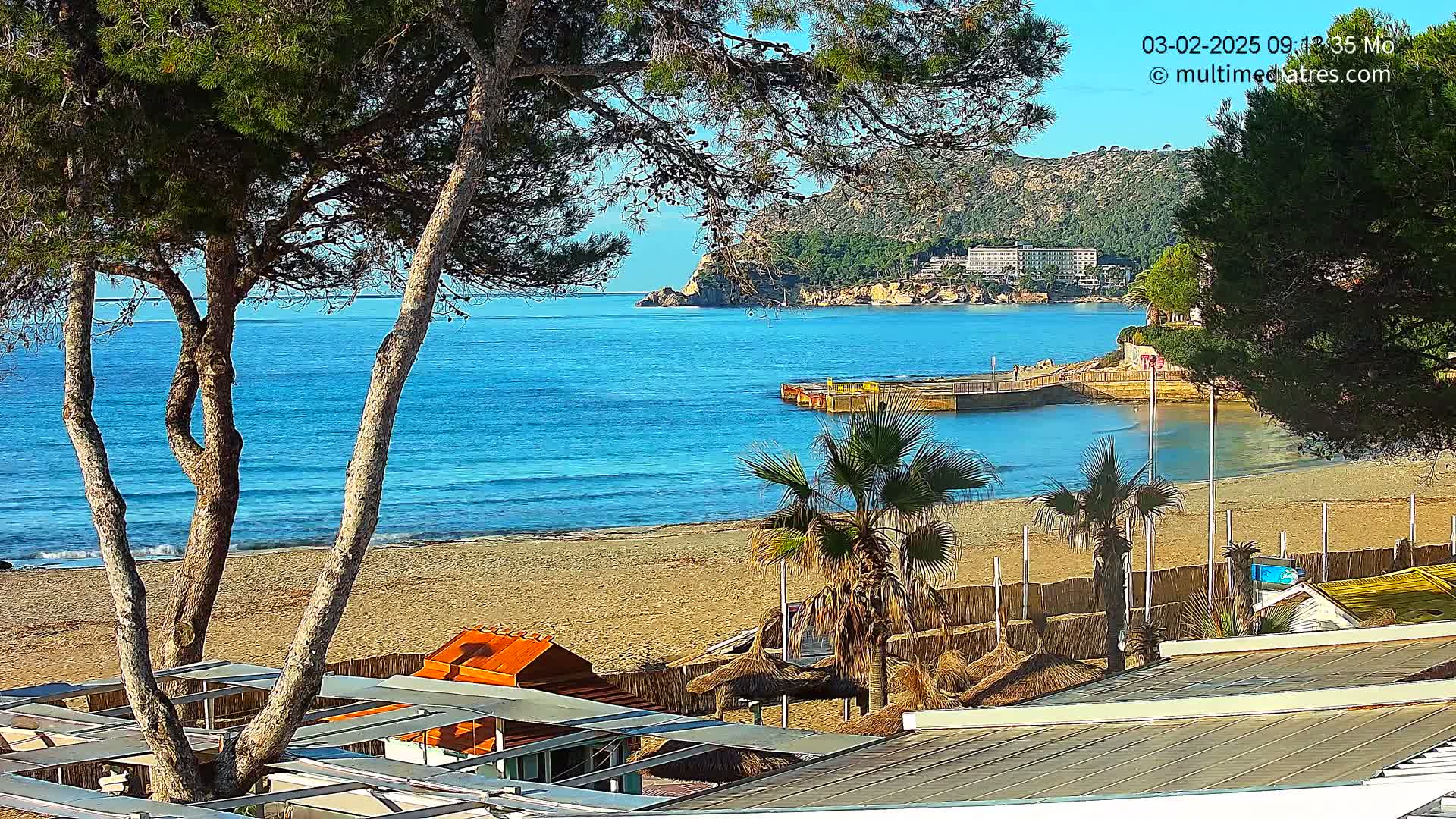 A sandy beach with calm, blue water is visible beyond a line of trees and beachside structures under a clear, sunny sky.