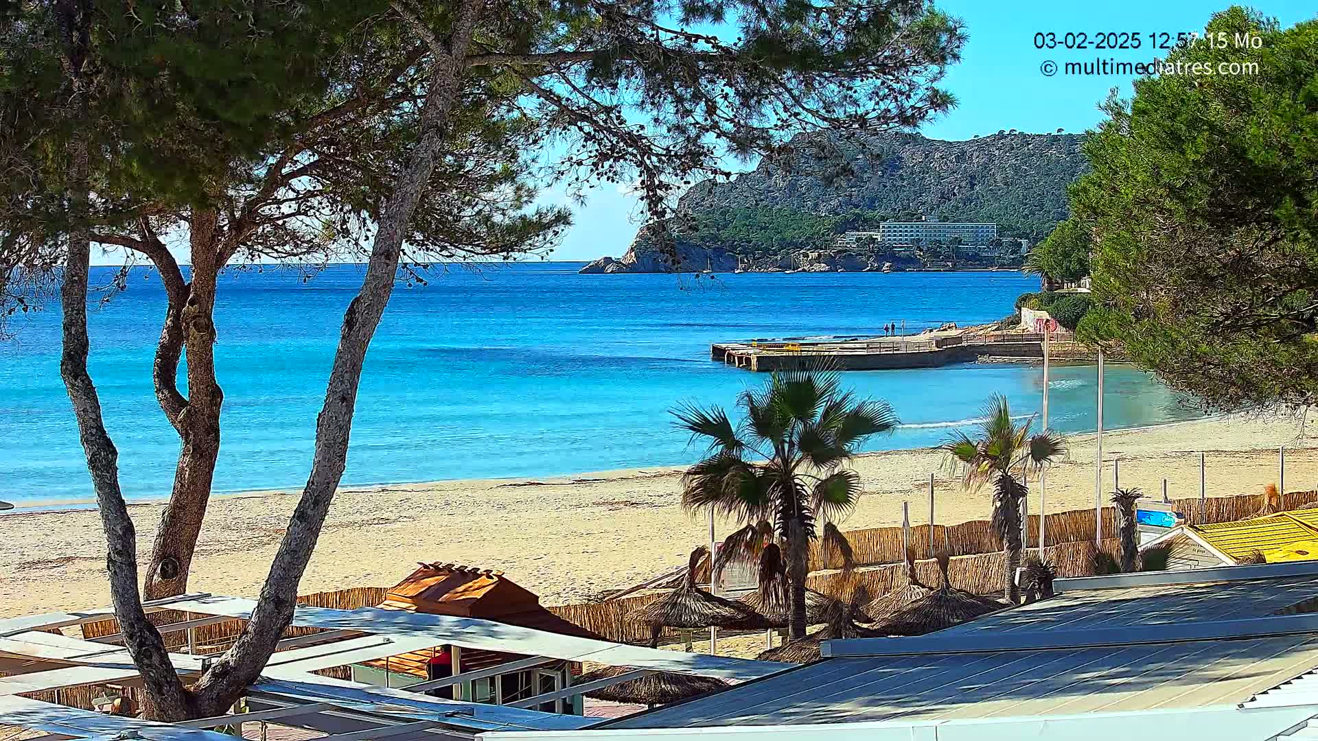 A sandy beach with turquoise water, palm trees, and pine trees, under a sunny sky.