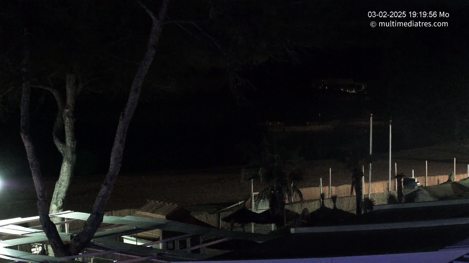 A nighttime view of a dark beach with palm trees, structures, and a tree in the foreground.