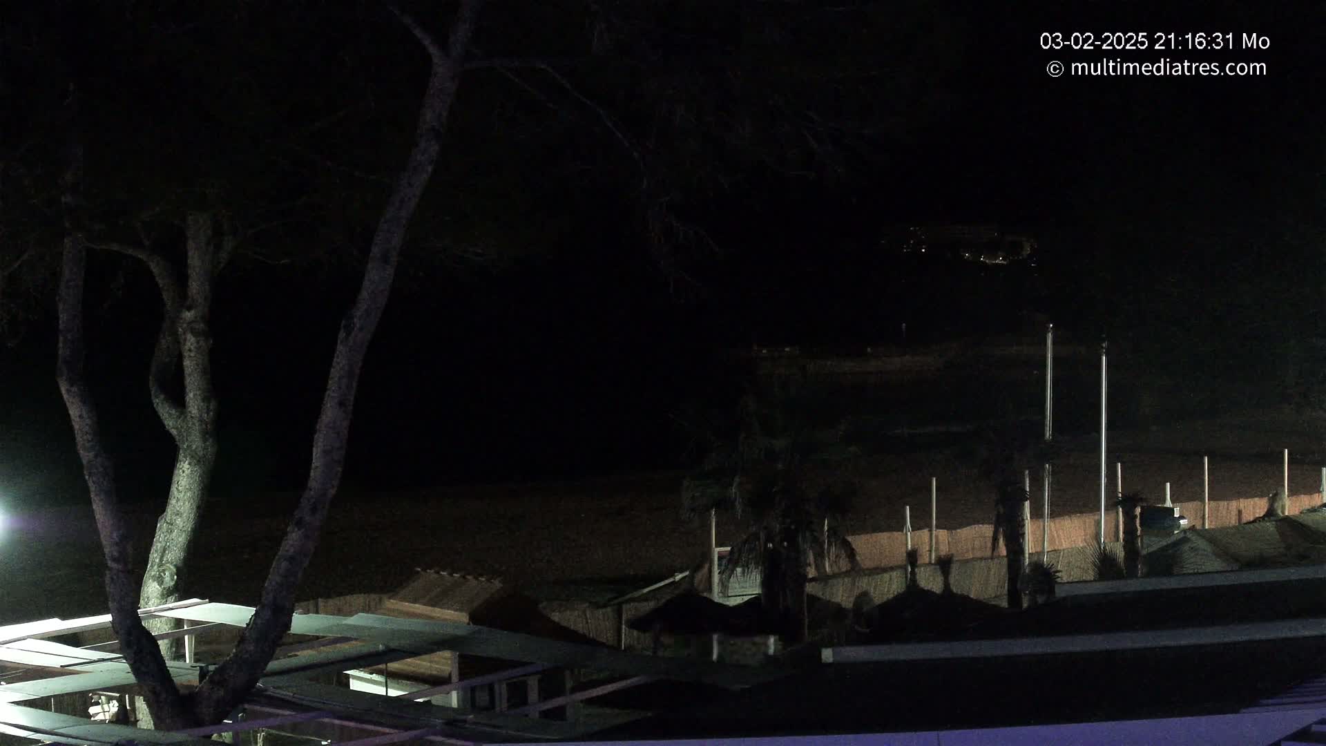 A nighttime view of a beach with dark sand, sparsely lit beach huts, palm trees, and a tree in the foreground under a clear, dark sky.