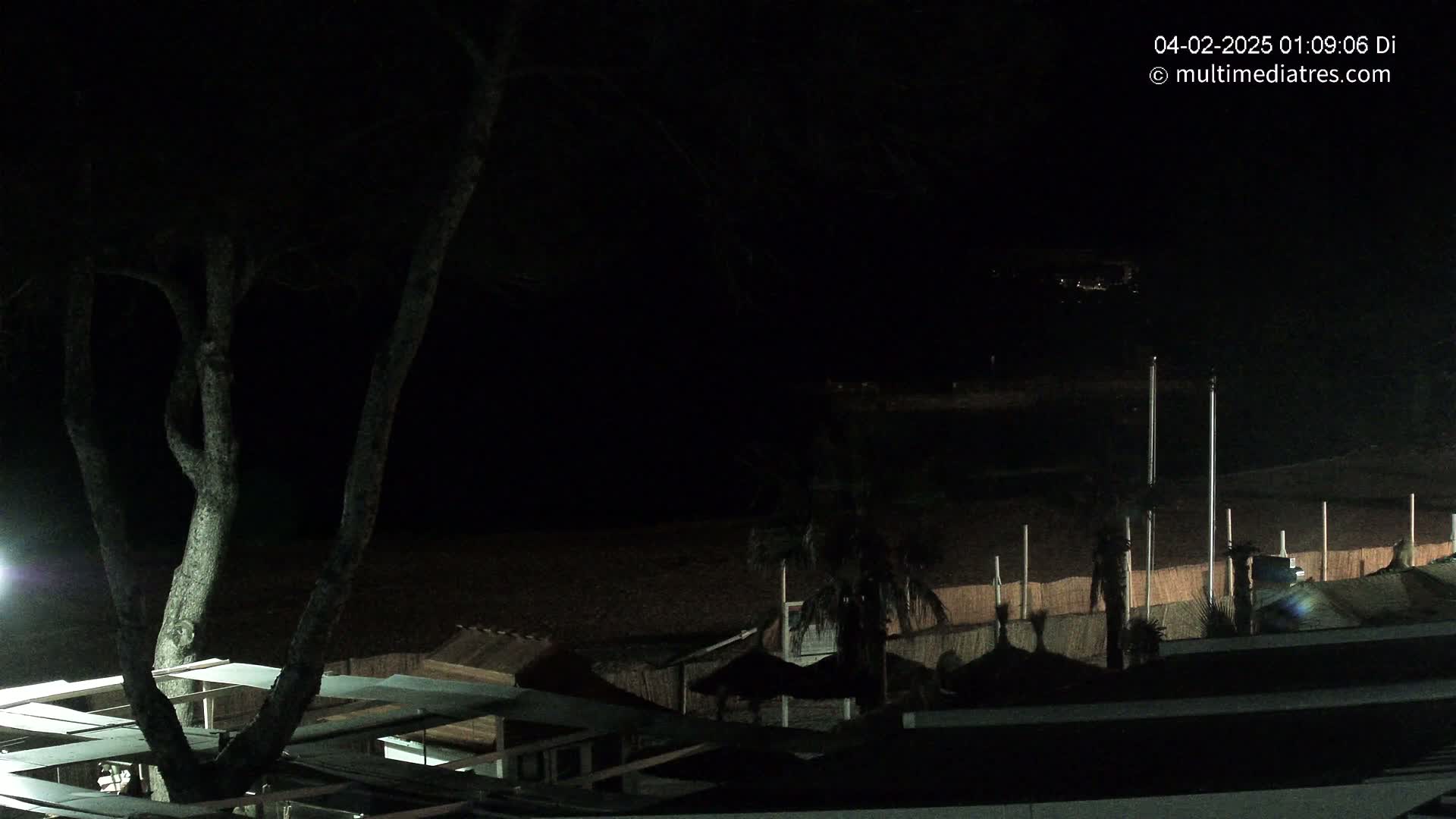 A nighttime view shows a dark beach with a few palm trees and beach structures under a mostly clear sky.