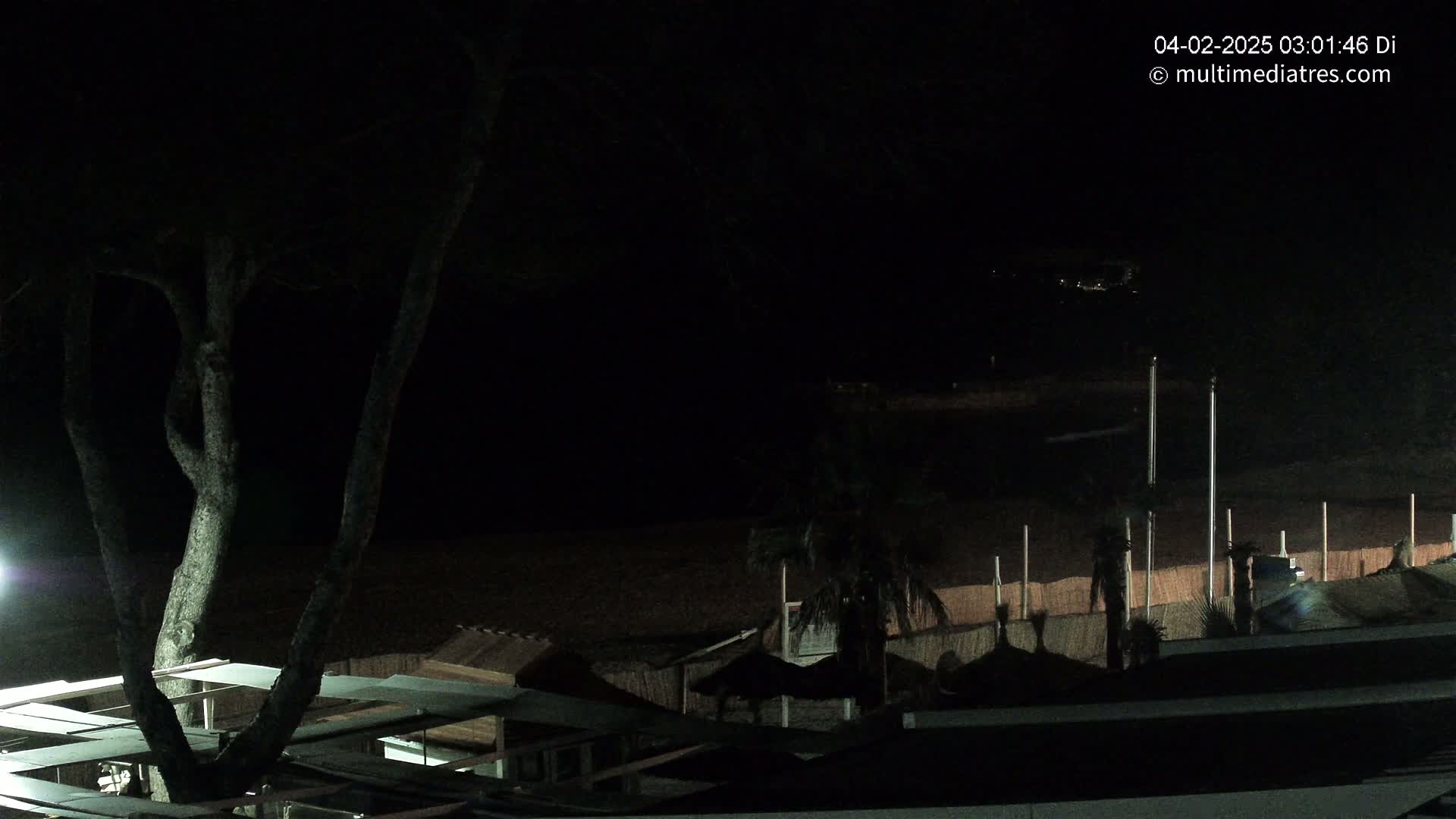 A nighttime view of a dark beach with structures and a tree, under a clear sky.