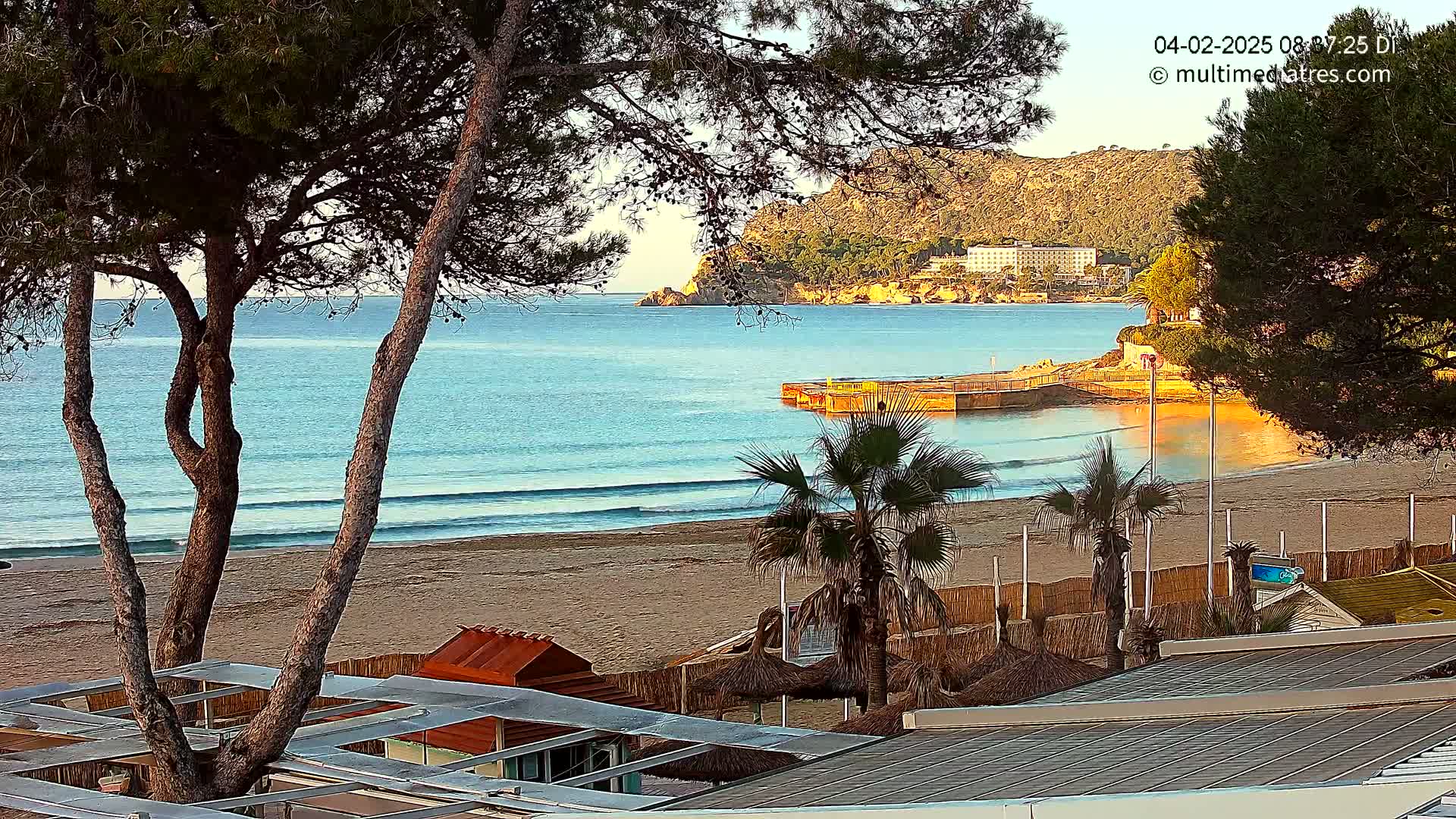 A sandy beach with calm waves, palm trees, and beach huts is seen from behind a row of pine trees, with a hill and buildings in the background under a clear sky.