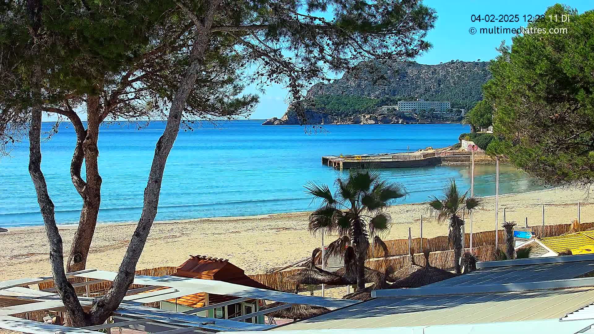 A sandy beach with calm, turquoise water, palm trees, and a small pier is seen from behind a row of beach umbrellas on a sunny day.