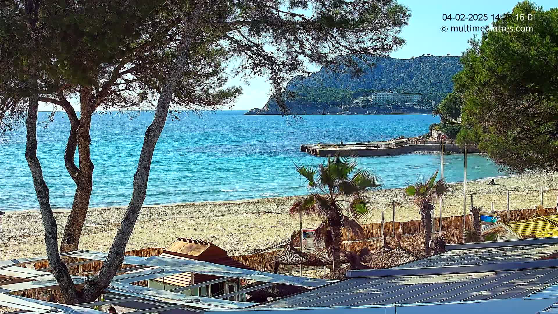 A sandy beach with turquoise water, palm trees, and beachside structures is viewed from behind a row of trees on a sunny day.