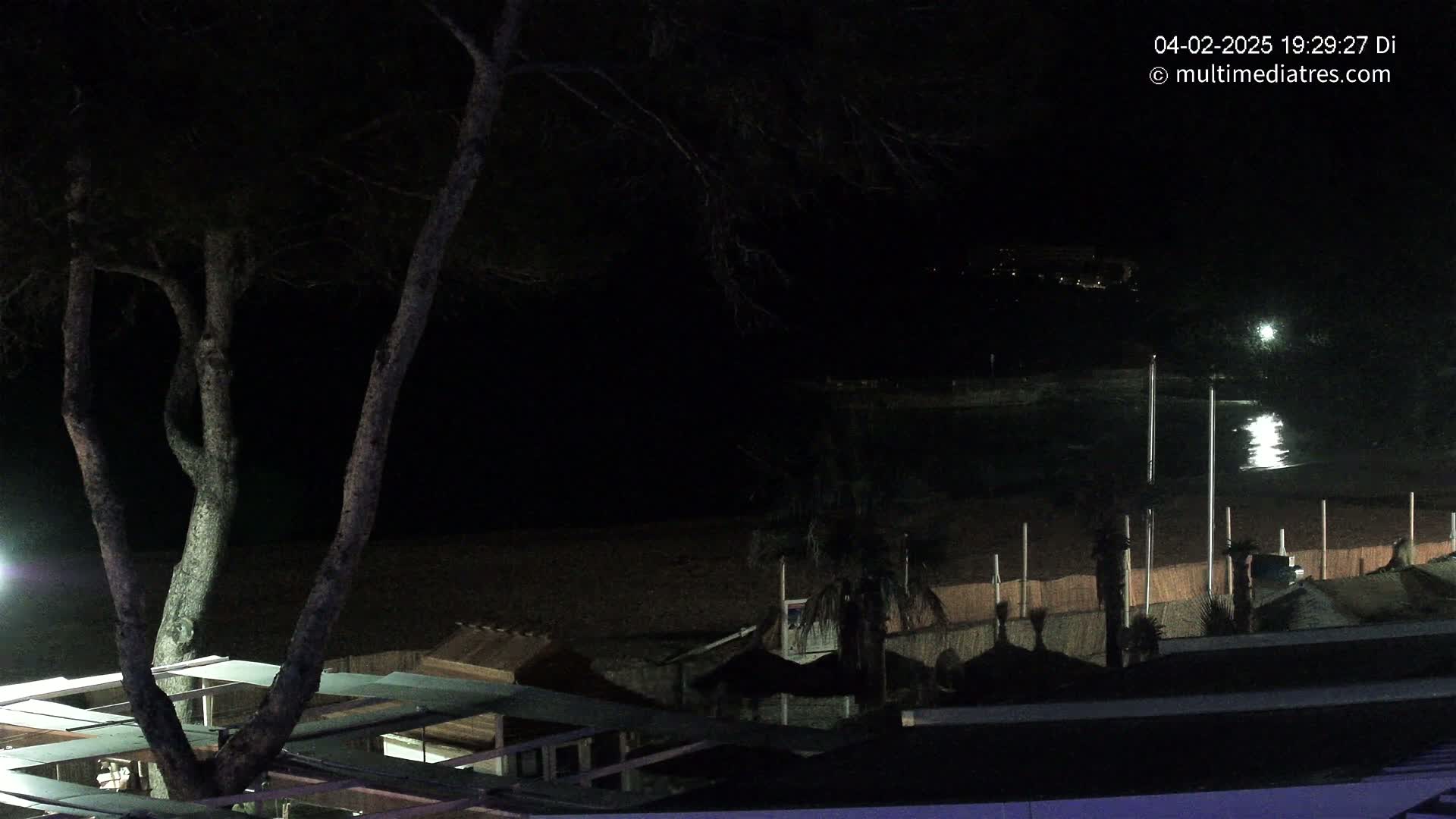 A dark nighttime beach scene shows a tree in the foreground,  beach structures, and calm water reflecting light.