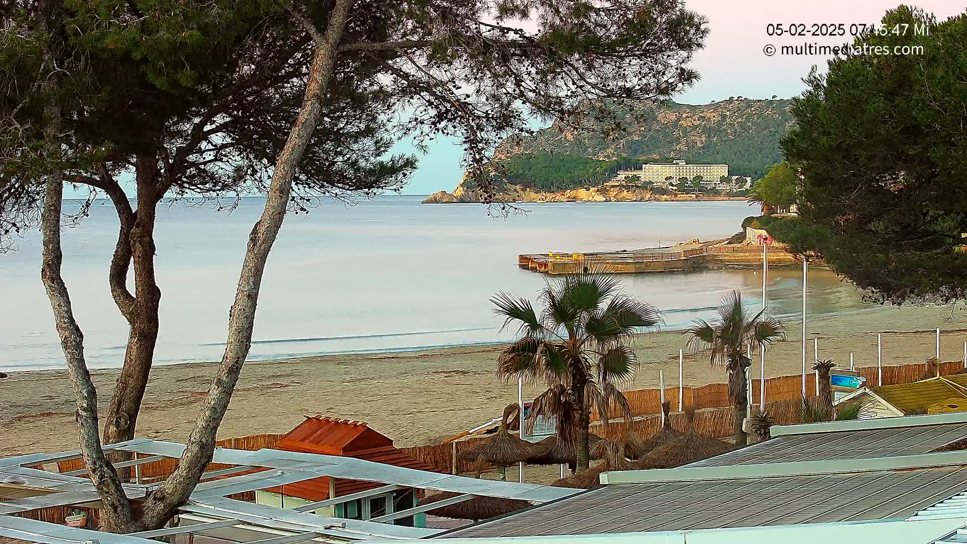 A sandy beach with calm ocean waves, palm trees, and beach huts is seen from behind a row of pine trees, with a distant hotel and hills in the background under a clear sky.