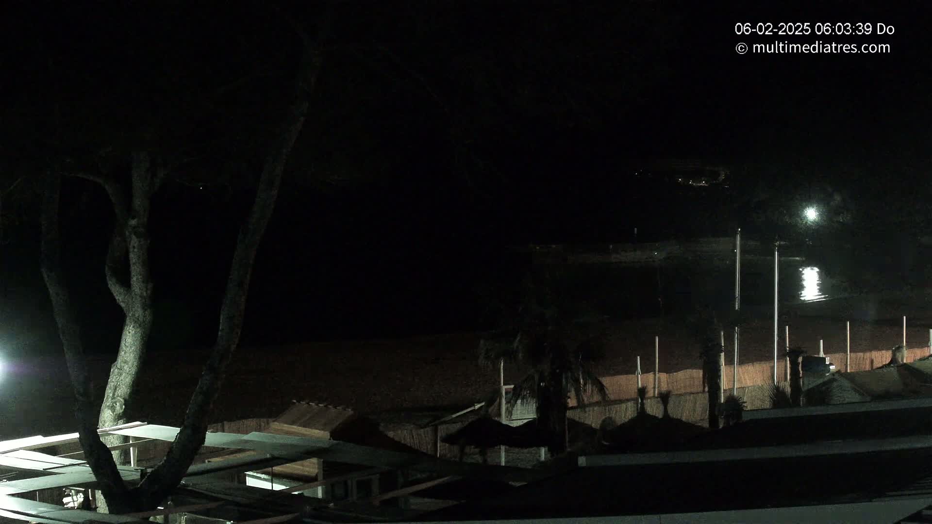 A dark, nighttime scene shows a beach with structures, palm trees, and a tree in the foreground, overlooking calm water under a clear sky.