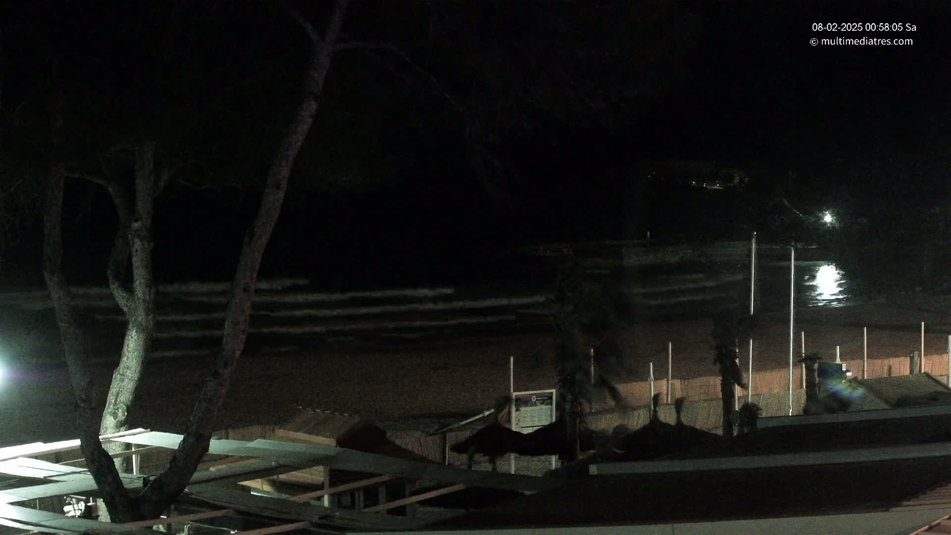 At night, gently lapping waves roll onto a dark, sandy beach lined with shadowed beach umbrellas and trees under a clear, moonlit sky.