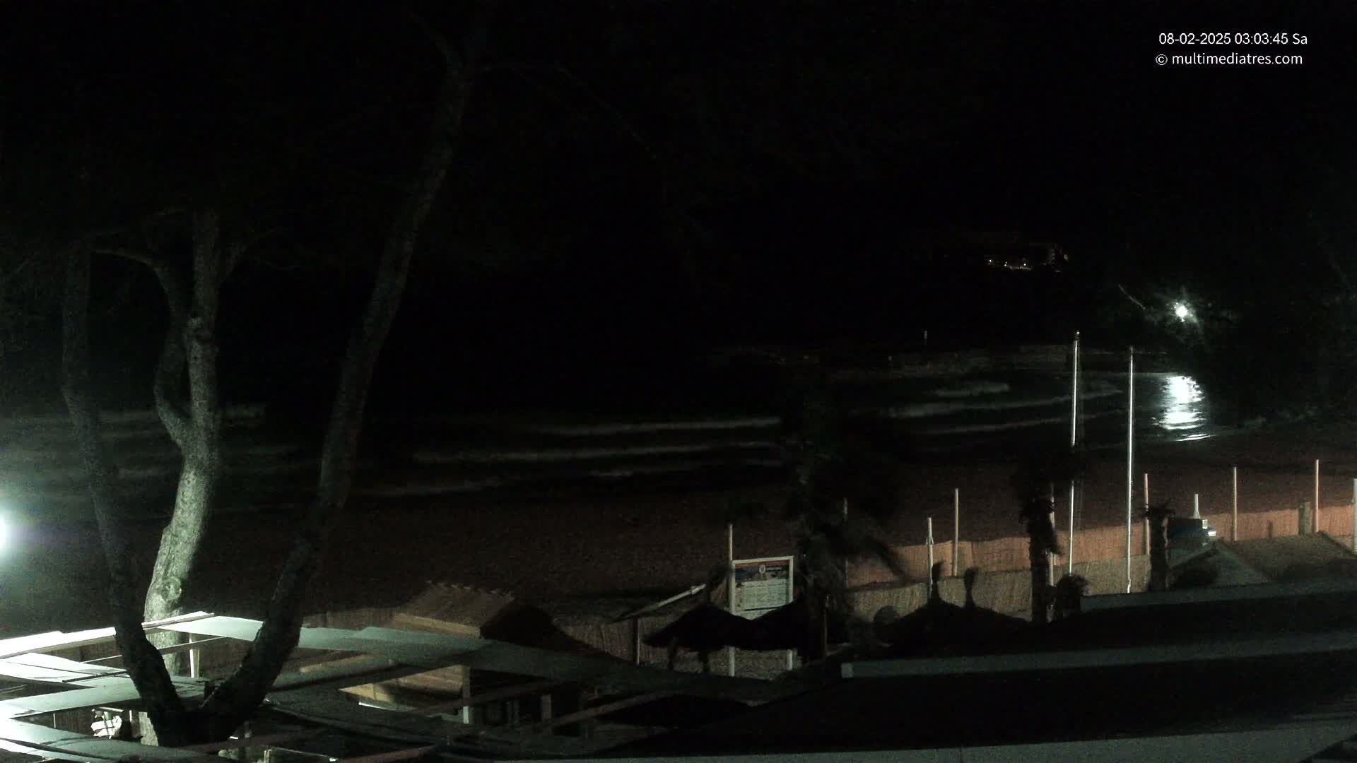A dark, nighttime view of a beach with gently lapping waves, a few palm trees, and beach structures under a mostly clear sky.