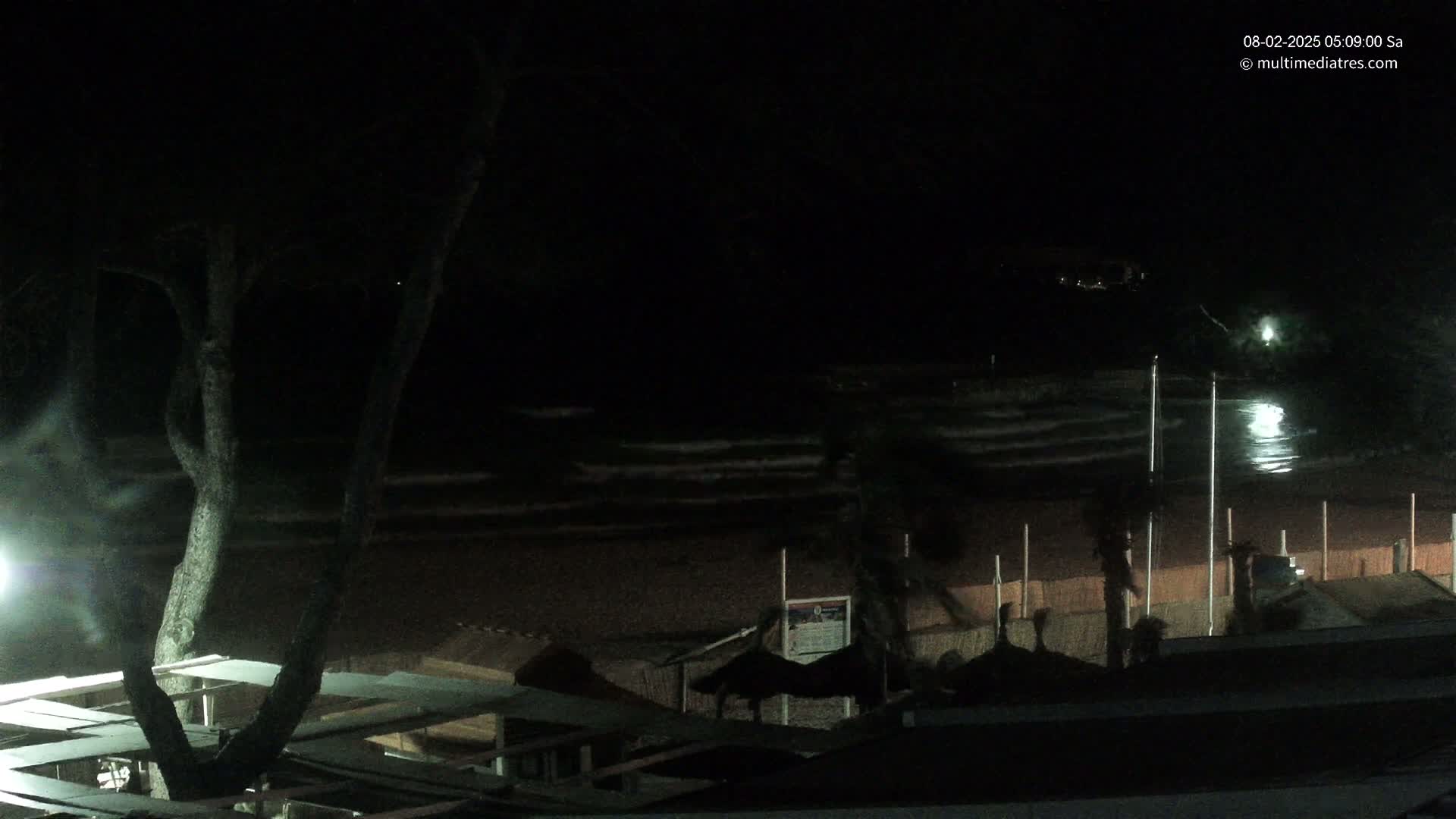 A nighttime view of a dark beach with gentle waves, dimly lit beach structures, and a tree partially visible in the foreground.