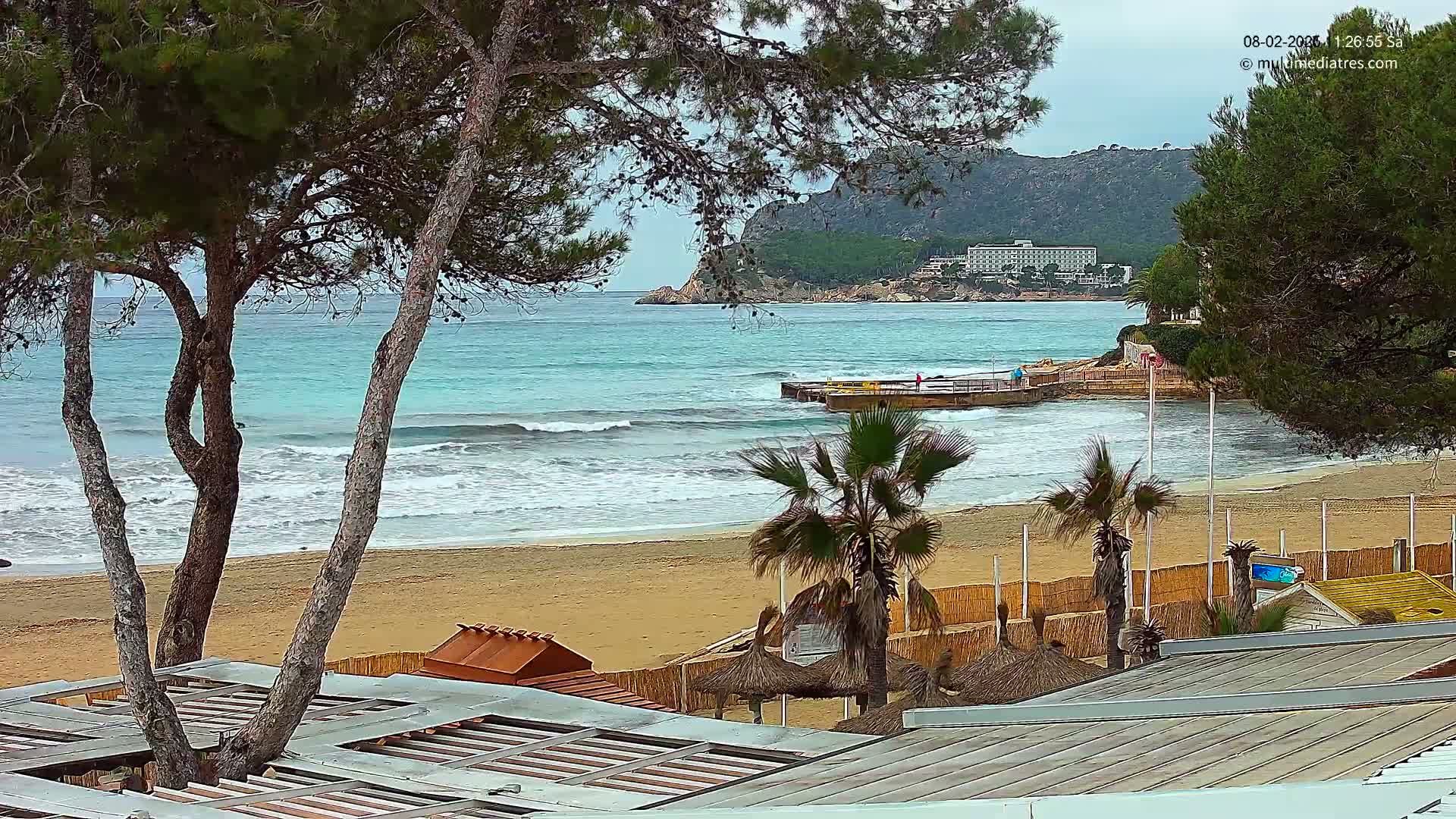 A sandy beach with calm waves laps the shore under an overcast sky, framed by pine trees and palm trees, with a hotel visible in the distance.