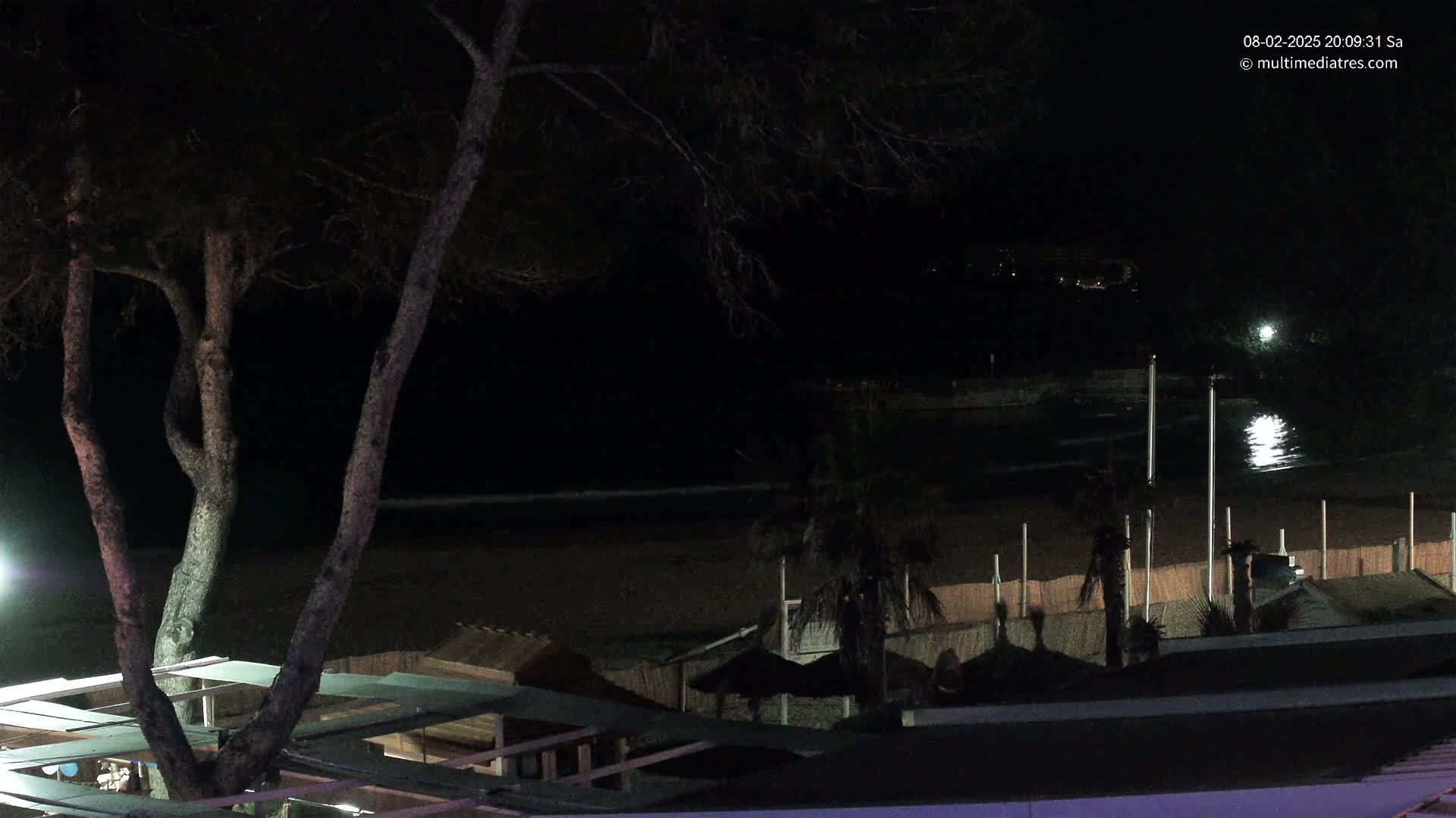 A dark nighttime scene shows a beach with calm water, palm trees, and beach structures under a tree.