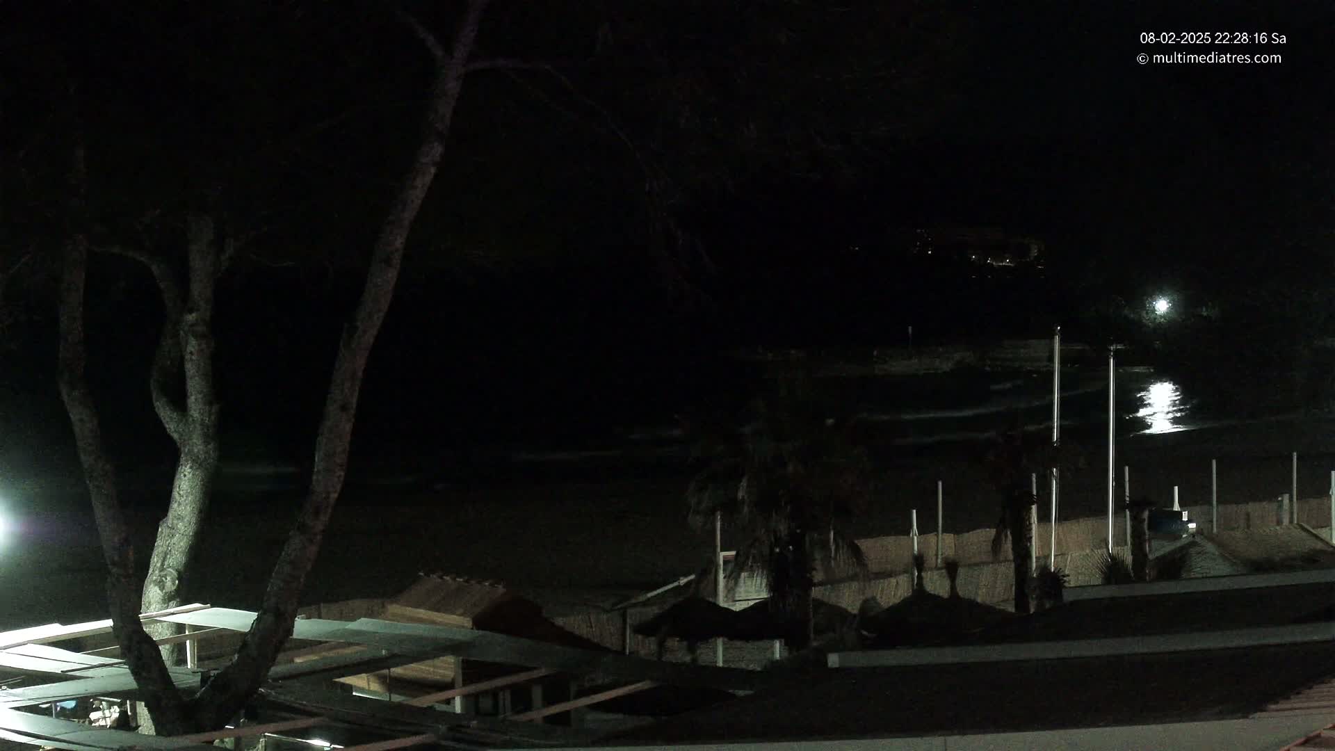 A nighttime view of a dark beach with calm waves, palm trees, and beach structures under a clear sky.