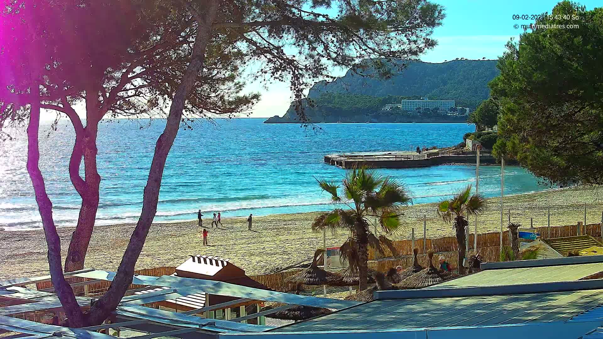 A sandy beach with a few people on it is seen from behind trees and beach umbrellas, overlooking calm blue water and a distant rocky coastline under a sunny sky.
