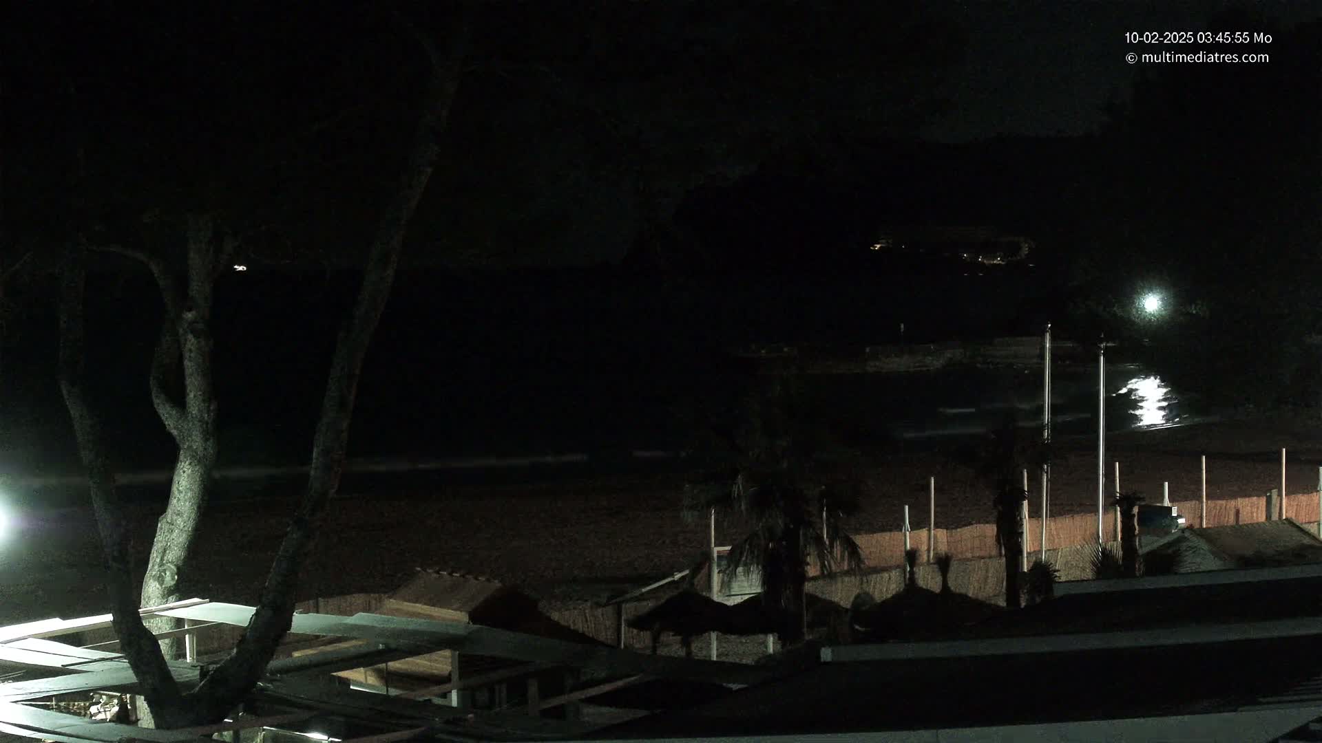 A dark, nighttime beach scene shows a mostly empty sandy shore with some beach structures, palm trees, and a large tree in the foreground under a mostly clear sky.