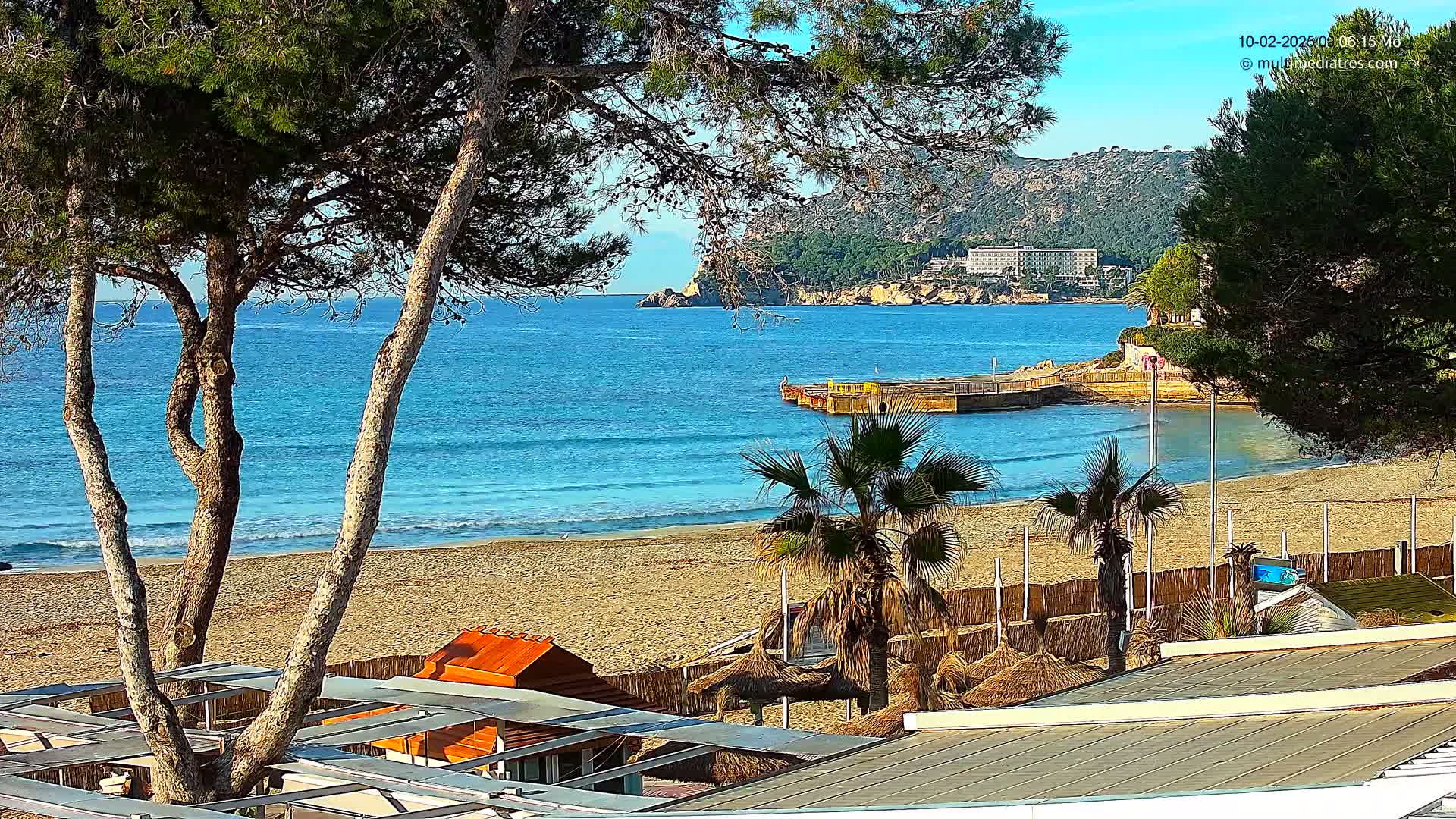 A sandy beach with calm, blue water, palm trees, and small structures is visible from behind several pine trees on a sunny day.