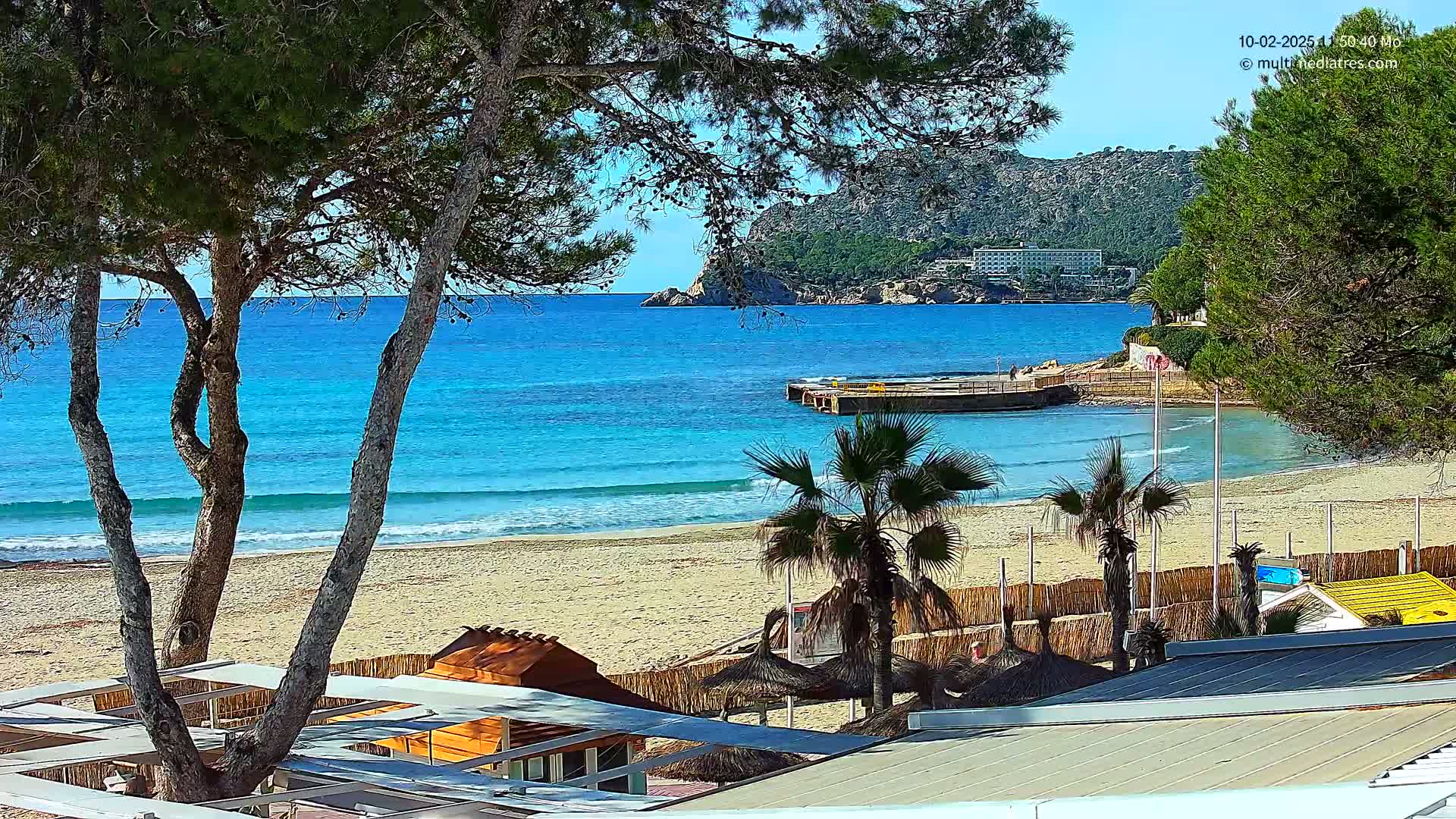 A sandy beach with turquoise water and gentle waves is partially obscured by pine trees and palm trees, with a small pier and buildings visible in the background under a sunny sky.