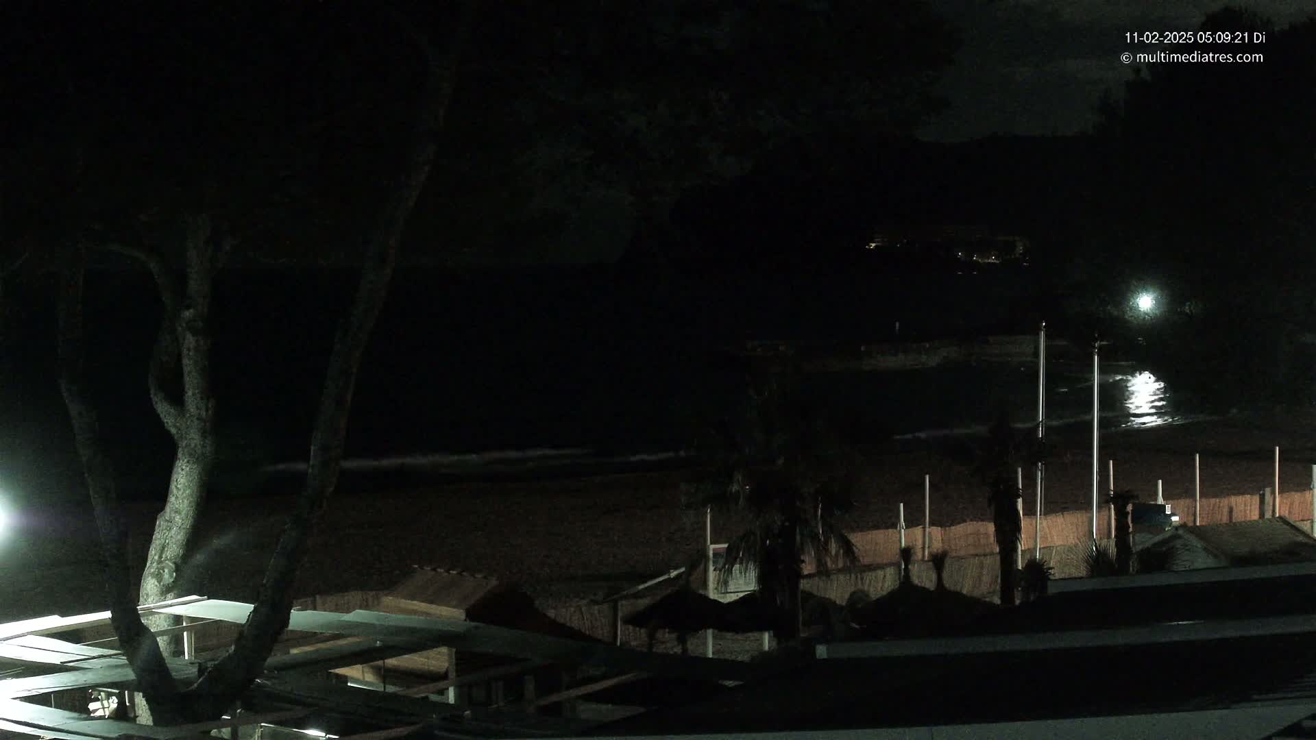 A dark nighttime beach scene shows a calm body of water reflecting light, palm trees and beach structures along the shore, and a tree in the foreground.