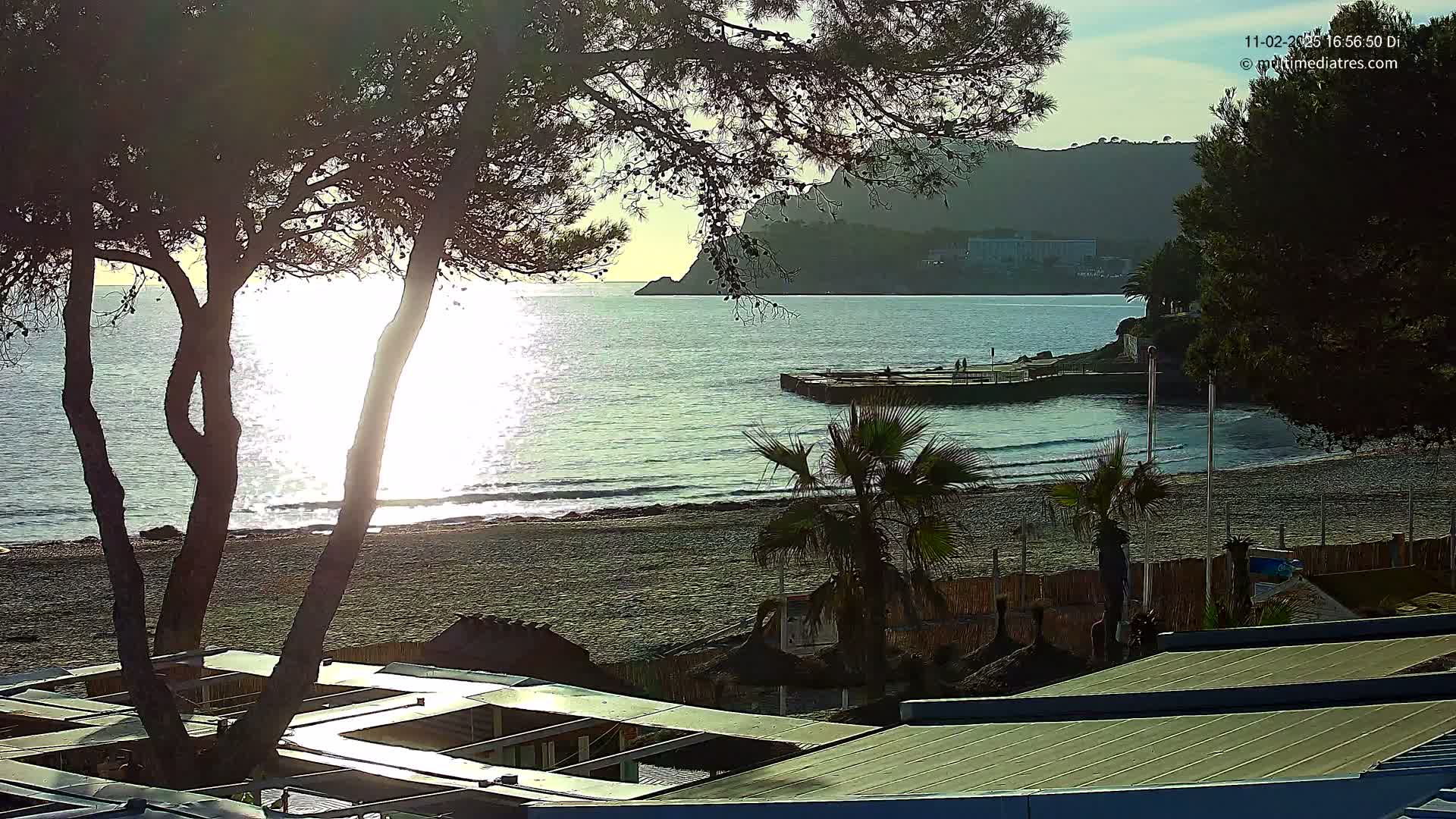 A tranquil beach scene at sunset, with calm waves lapping the shore,  is viewed from behind trees and low-lying structures.