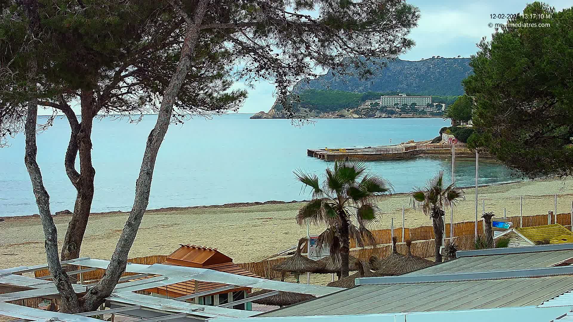 A sandy beach with calm, light-blue water, palm trees, and beach structures is seen from behind a row of pine trees on an overcast day.