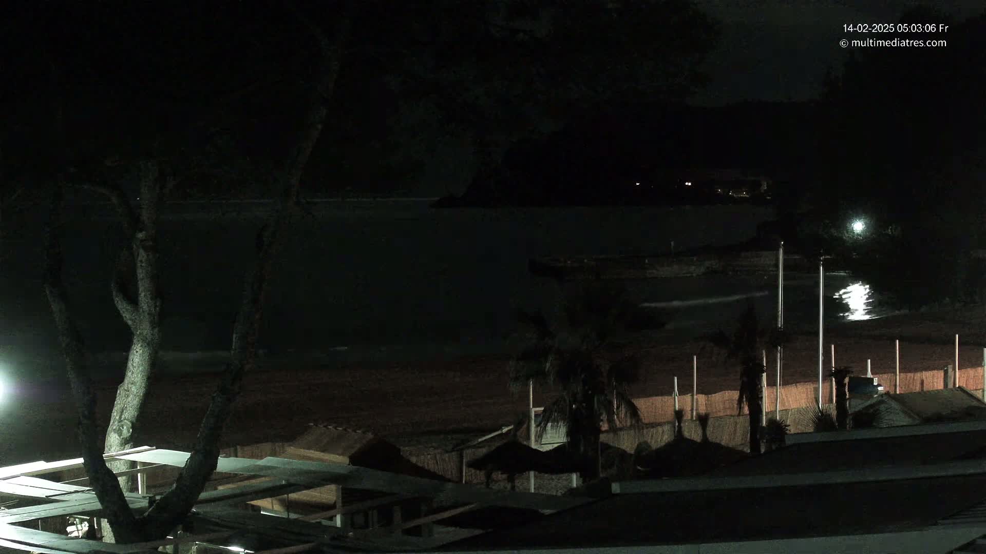 A nighttime view of a dark beach with calm waves, palm trees, and a tree in the foreground under a mostly clear sky.