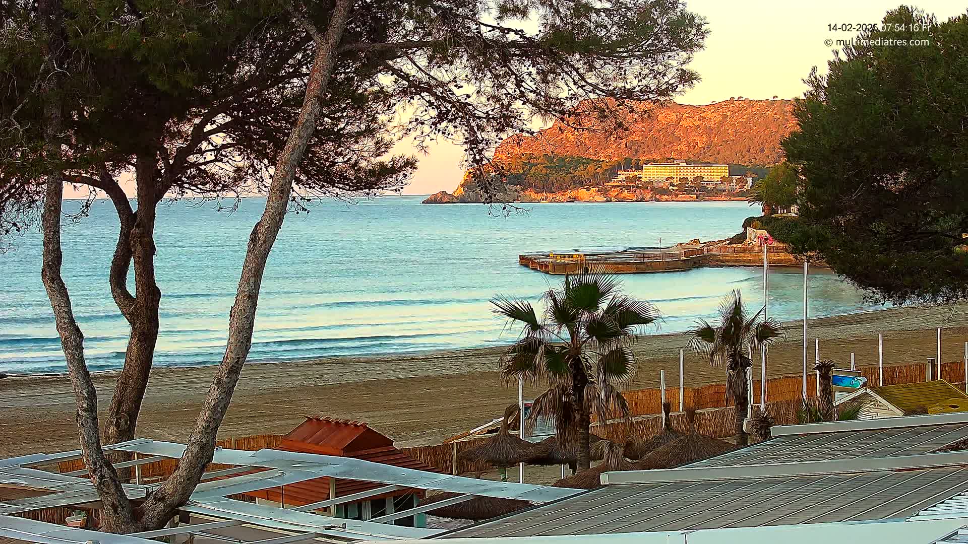 A sandy beach with calm waves and a few palm trees is seen from behind a row of beach huts and tall pine trees, with a large hotel visible on a distant hill under a soft, sunrise sky.