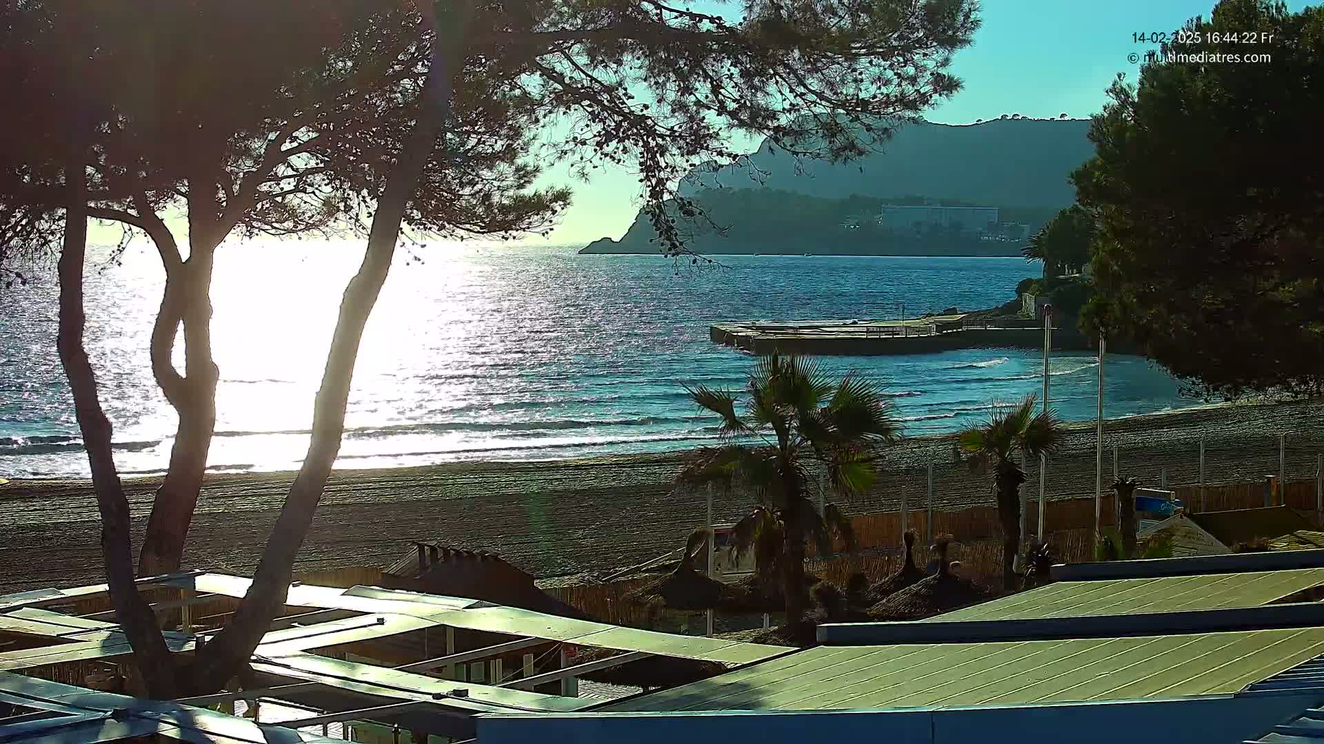 A sandy beach with calm, sunlit water laps against the shore under a mostly clear sky, with trees and beach umbrellas in the foreground.
