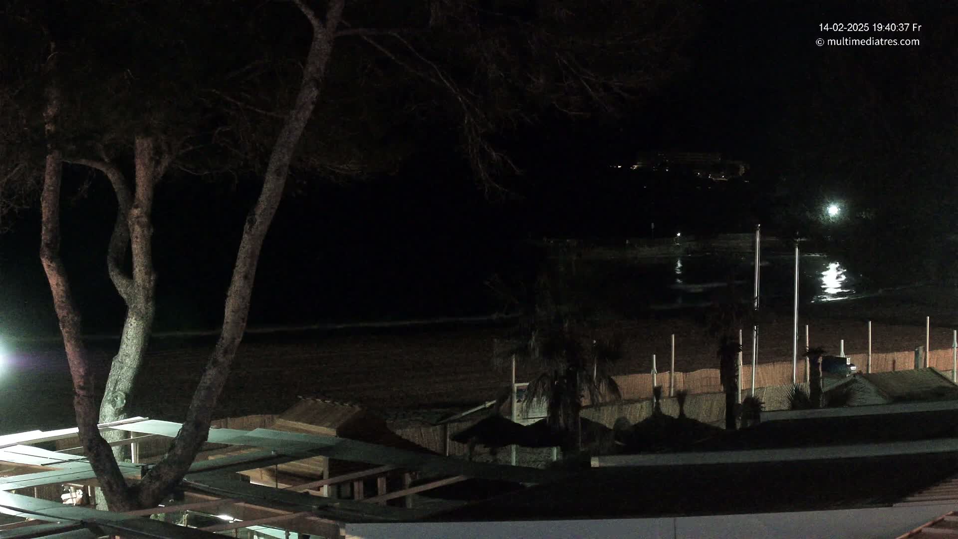 A nighttime view of a beach with calm water reflecting light, some buildings, and a tree in the foreground.