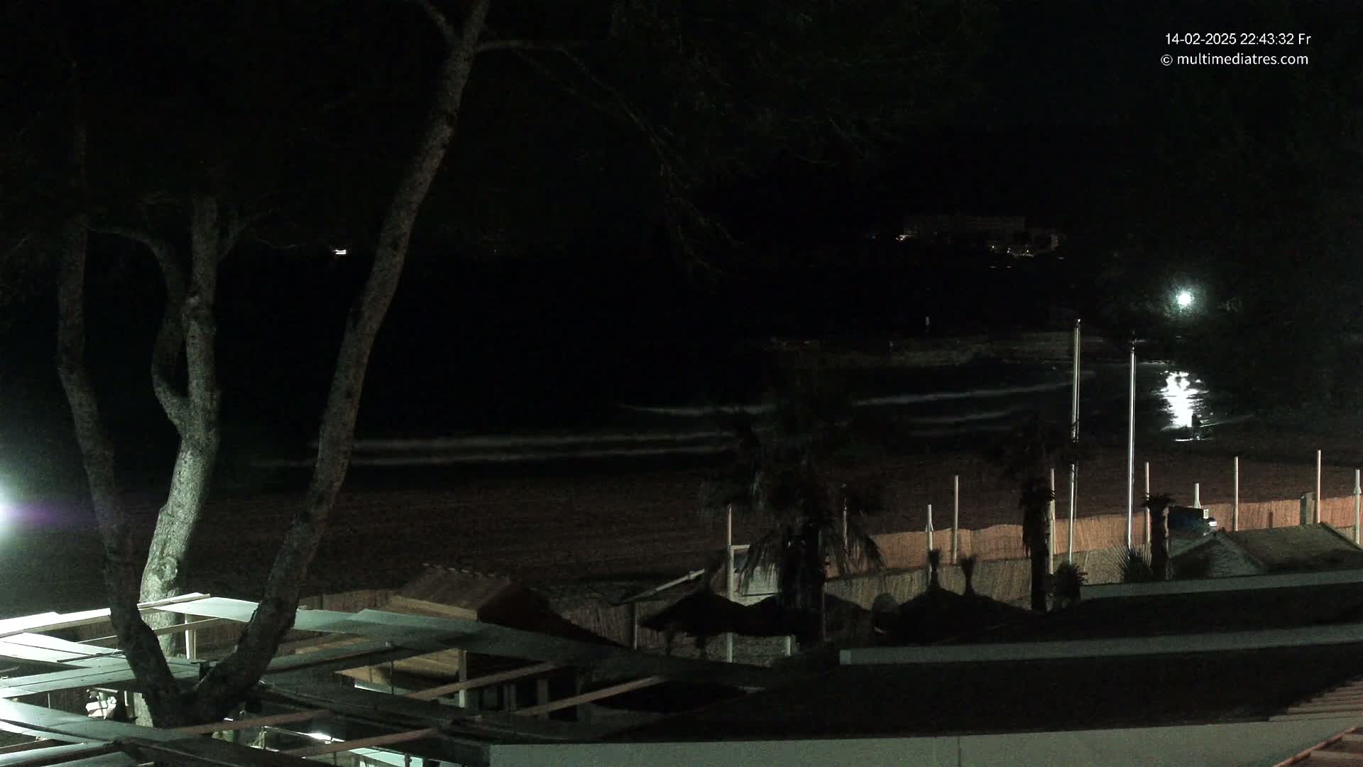 At night, a dark beach with gentle waves is viewed from above, showing a tree in the foreground and beach structures under a mostly clear sky.