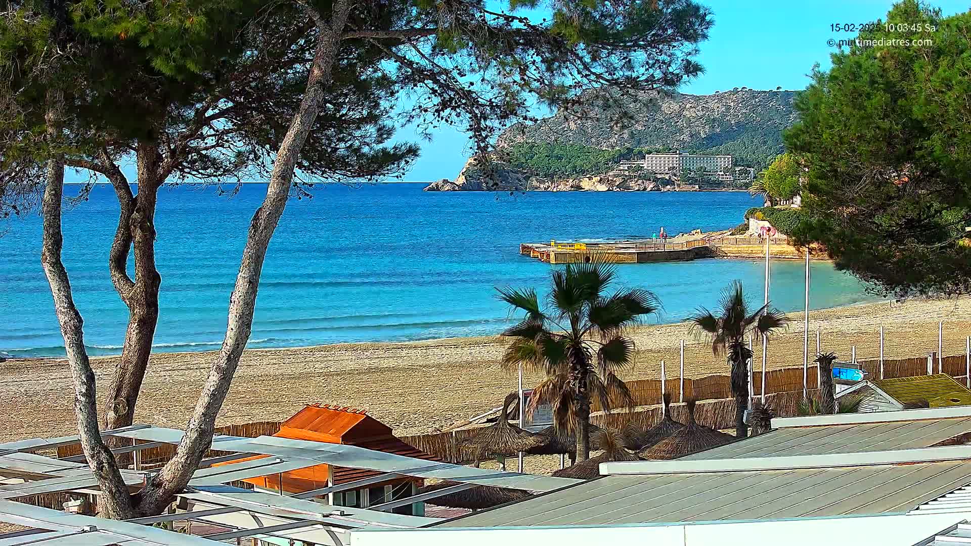 A sandy beach with calm, turquoise water is bordered by palm trees, pine trees, and beach umbrellas under a clear, sunny sky, with a hotel visible in the distance on a hillside.