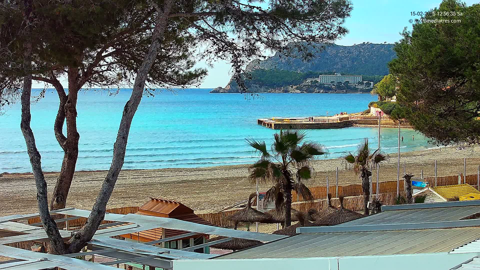 A sandy beach with turquoise water laps gently at the shore, under a clear sky, framed by palm trees and pine trees.