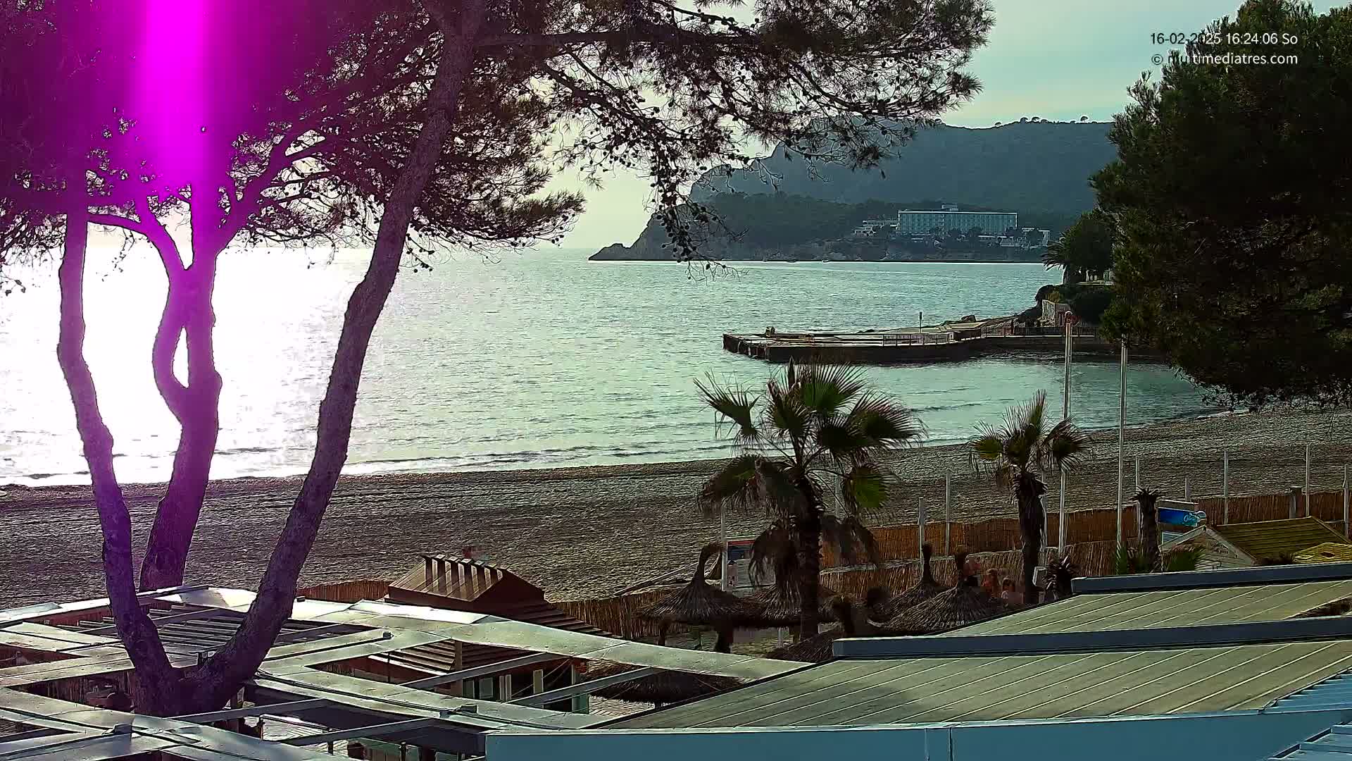 A sandy beach with calm ocean waves and several palm trees is seen from behind buildings and trees, with a mountain in the background under a partly cloudy sky.