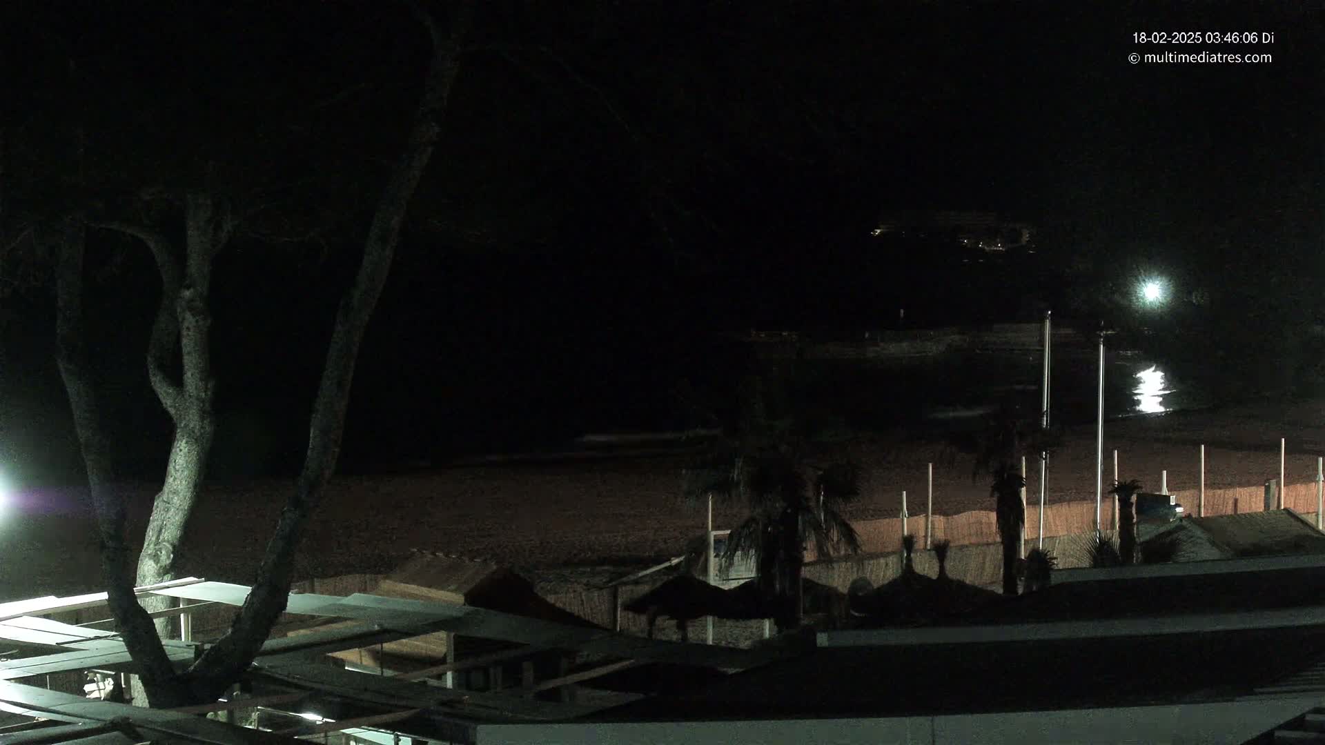 A dark beach at night with calm water, palm trees, and beach structures is illuminated by artificial lights.