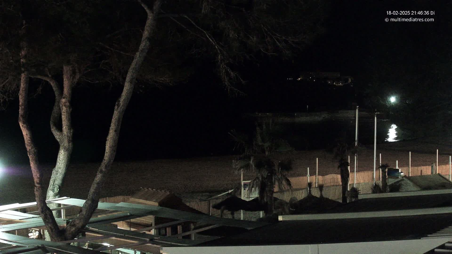 A nighttime view of a dark beach with a tree in the foreground, beach structures, and palm trees silhouetted against the water.