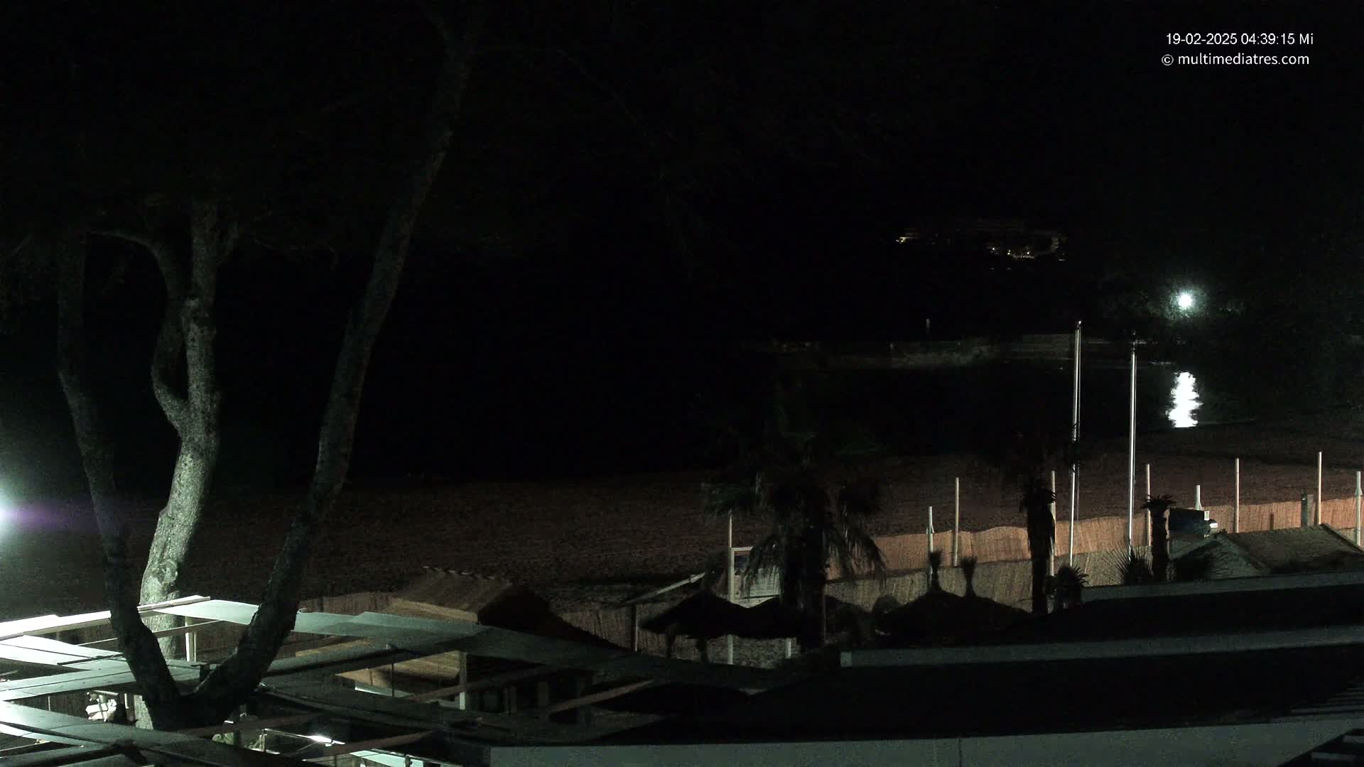 A nighttime view of a dark beach with palm trees and beach structures, illuminated by a light source and moonlight reflecting on the water.