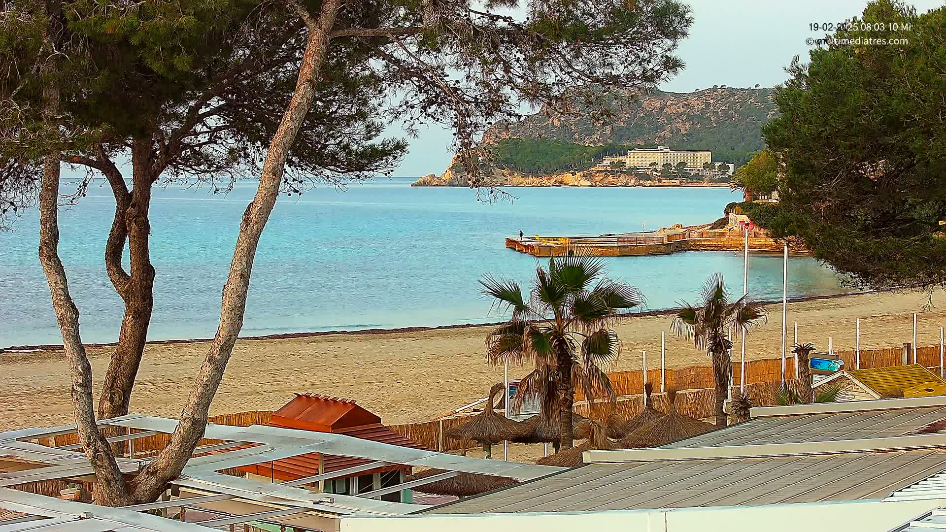 A sandy beach with calm, light blue water is seen from above, partially obscured by pine trees and palm trees, with a distant building on a hillside.