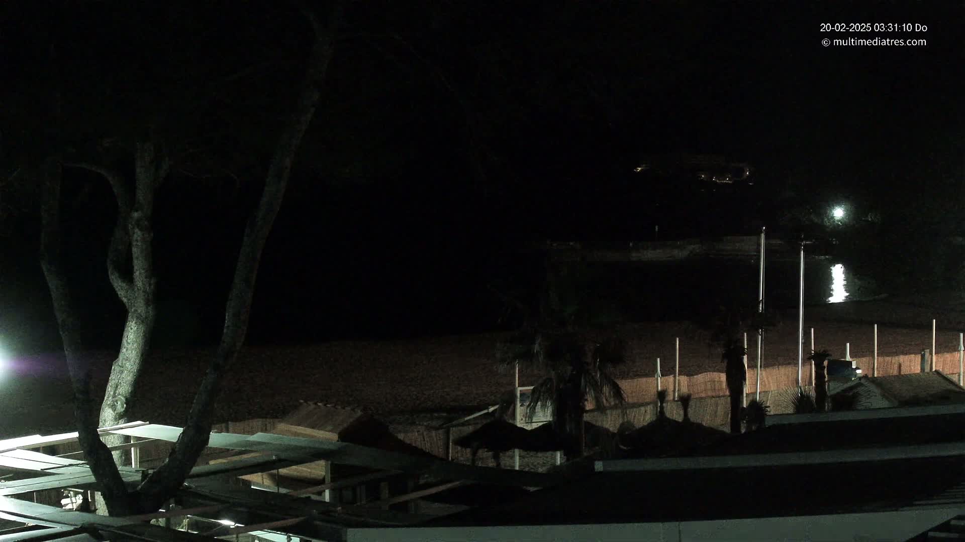 A nighttime view of a dark beach with structures and palm trees, under a clear, moonlit sky.