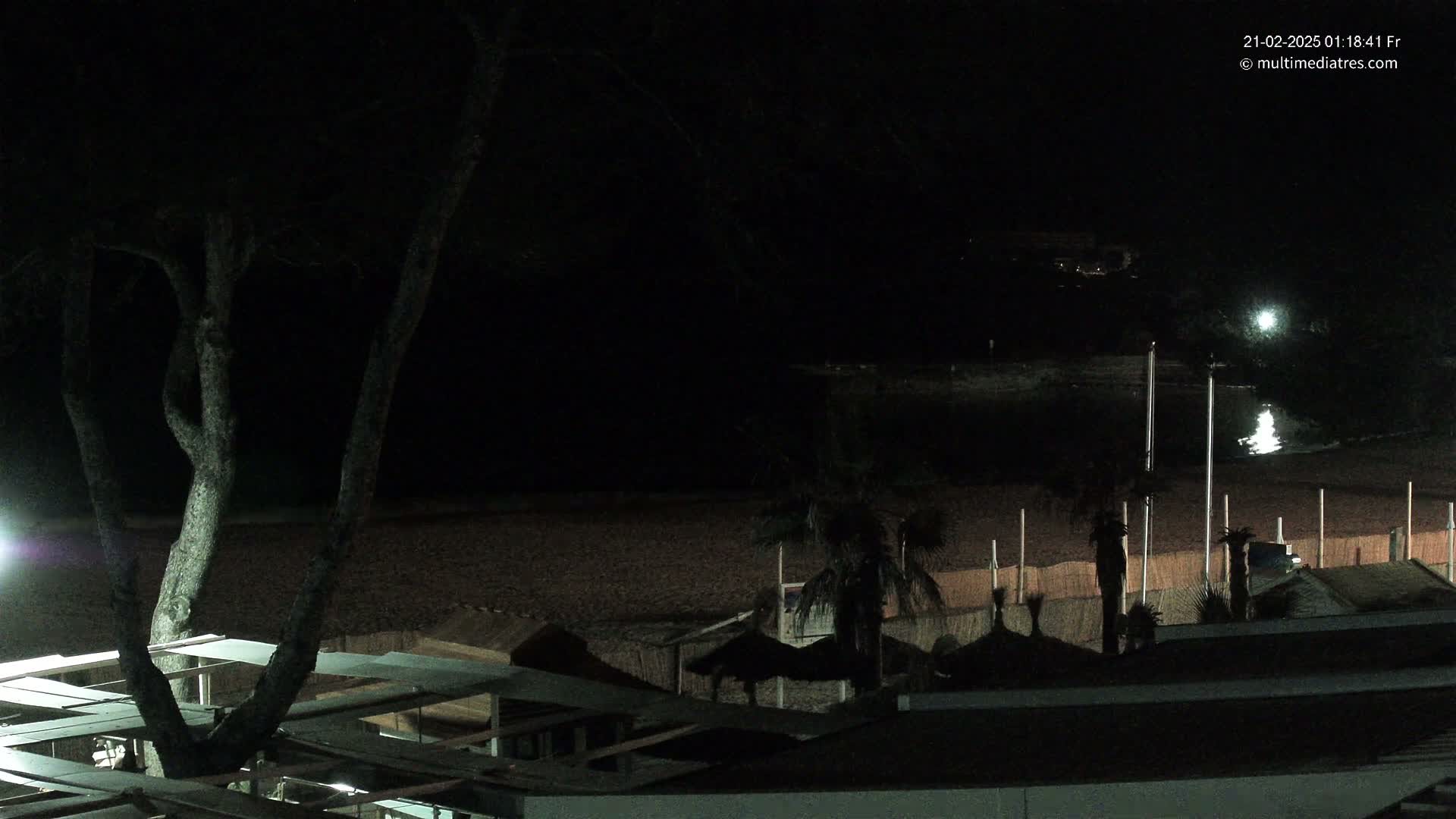 A dark nighttime view of a beach with palm trees, beach structures, and a large tree in the foreground, under a clear sky.