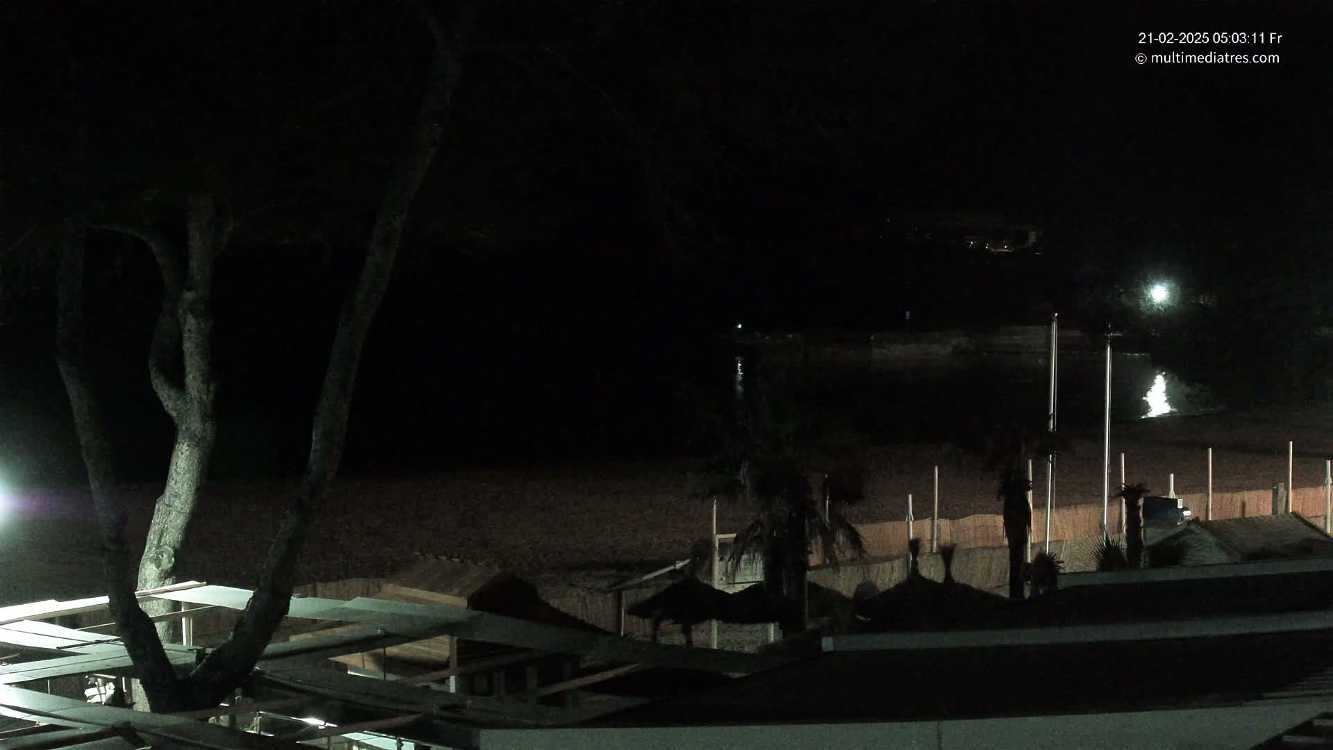 A nighttime view of a dark beach with palm trees and beach structures under a clear, dark sky.