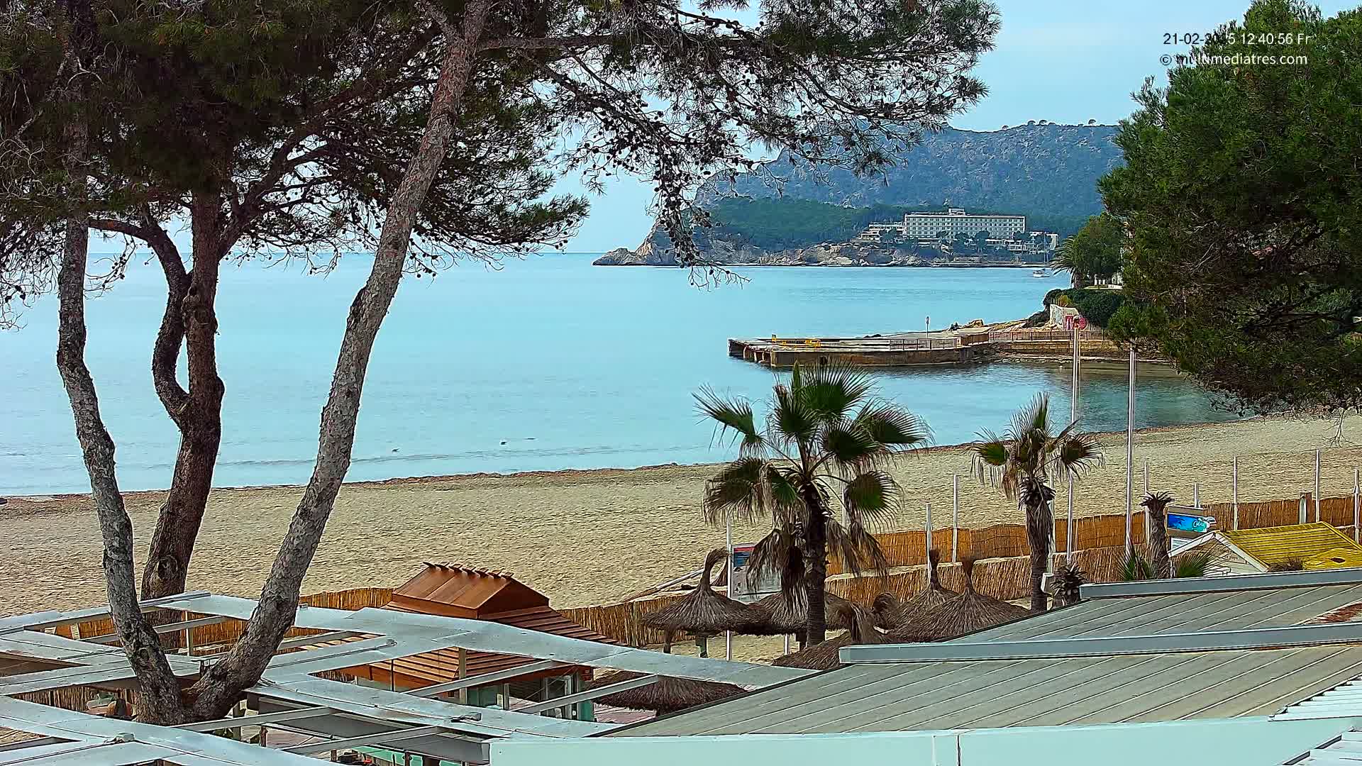 A sandy beach with calm, light blue water, palm trees, and beach huts is visible from behind a row of trees on an overcast day, with a distant hotel and hillside in view.