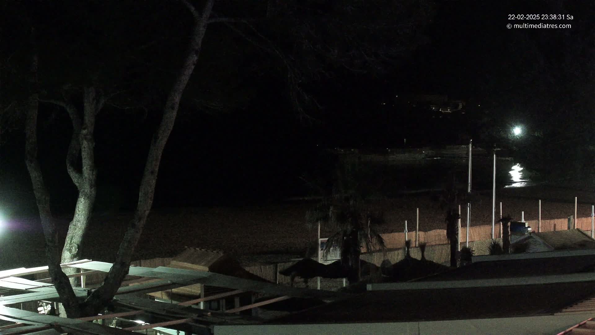 A nighttime view of a dark beach with palm trees, beach umbrellas, and a large tree in the foreground, under a clear sky.