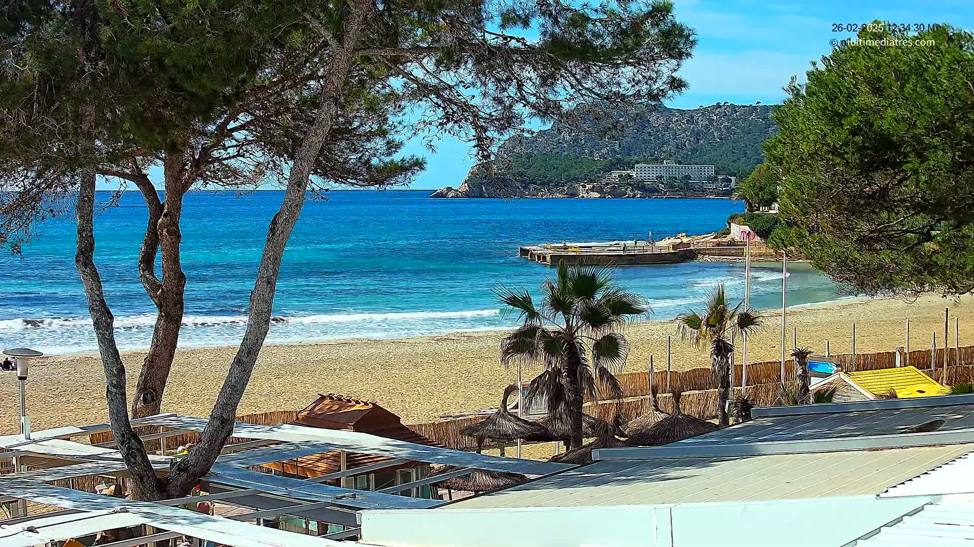 A sandy beach with calm, blue water, palm trees, and beachside structures is viewed from behind a row of pine trees on a sunny day.