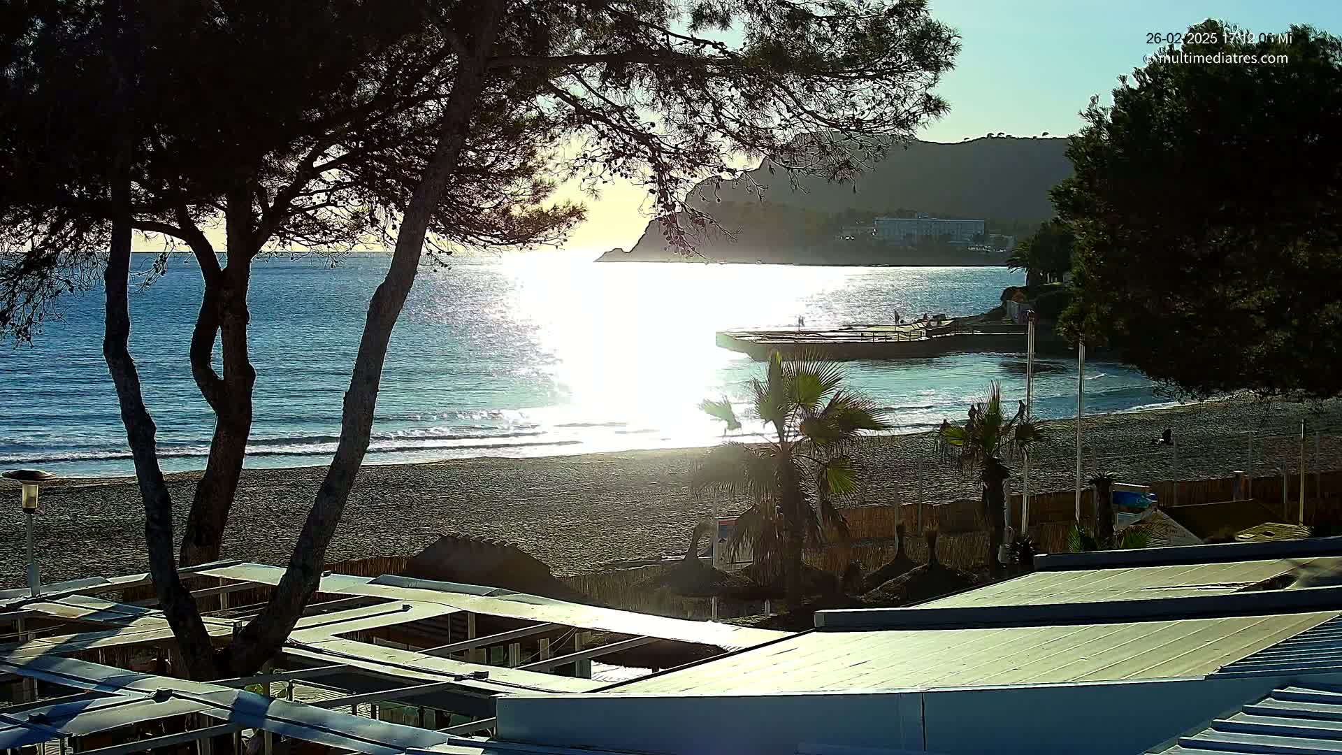A sandy beach with gentle waves laps the shore under a bright, sunny sky, partially obscured by dark pine trees in the foreground and buildings beyond.