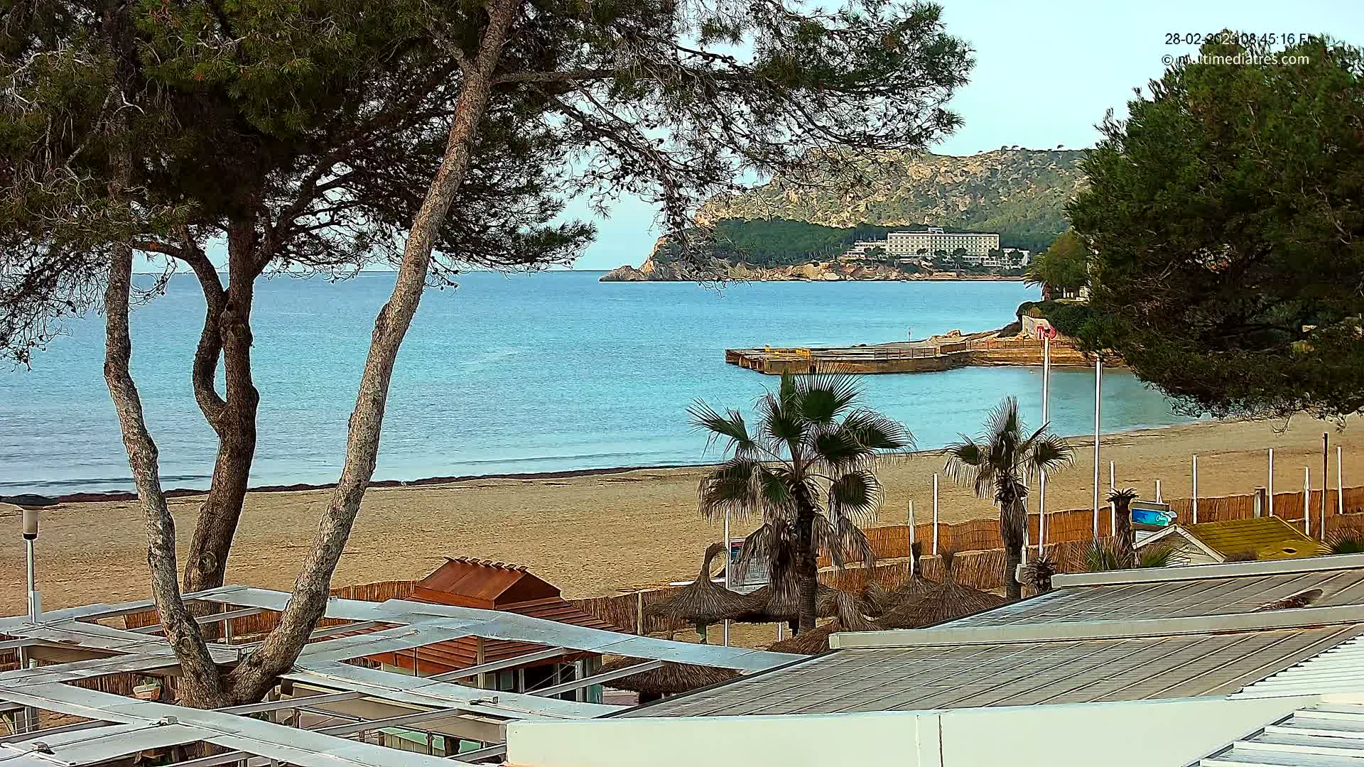A sandy beach with calm, blue water, palm trees, and buildings is seen from a high vantage point under a mostly clear sky.
