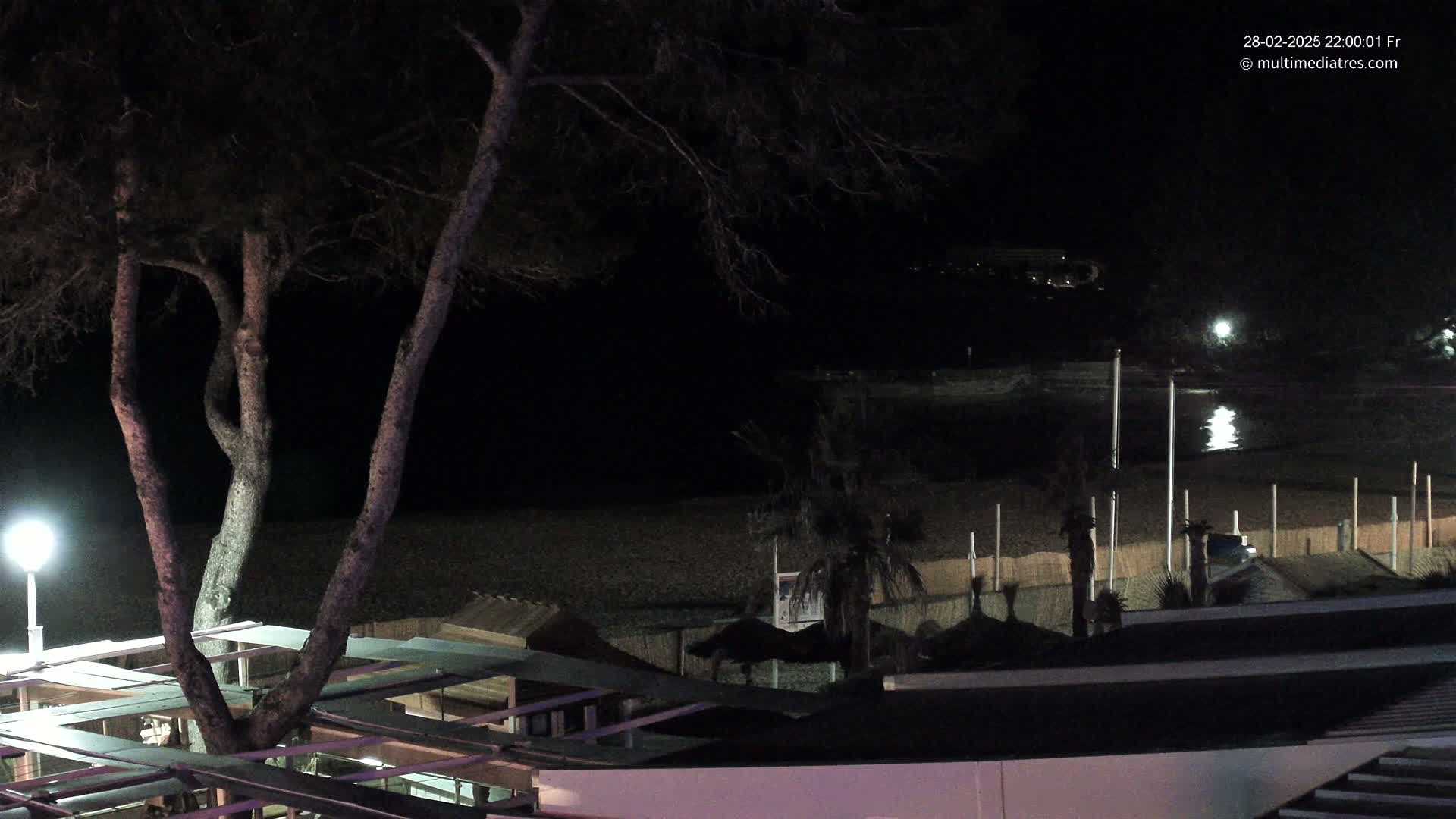 A nighttime view of a dark beach with palm trees and beach structures under a mostly clear sky.