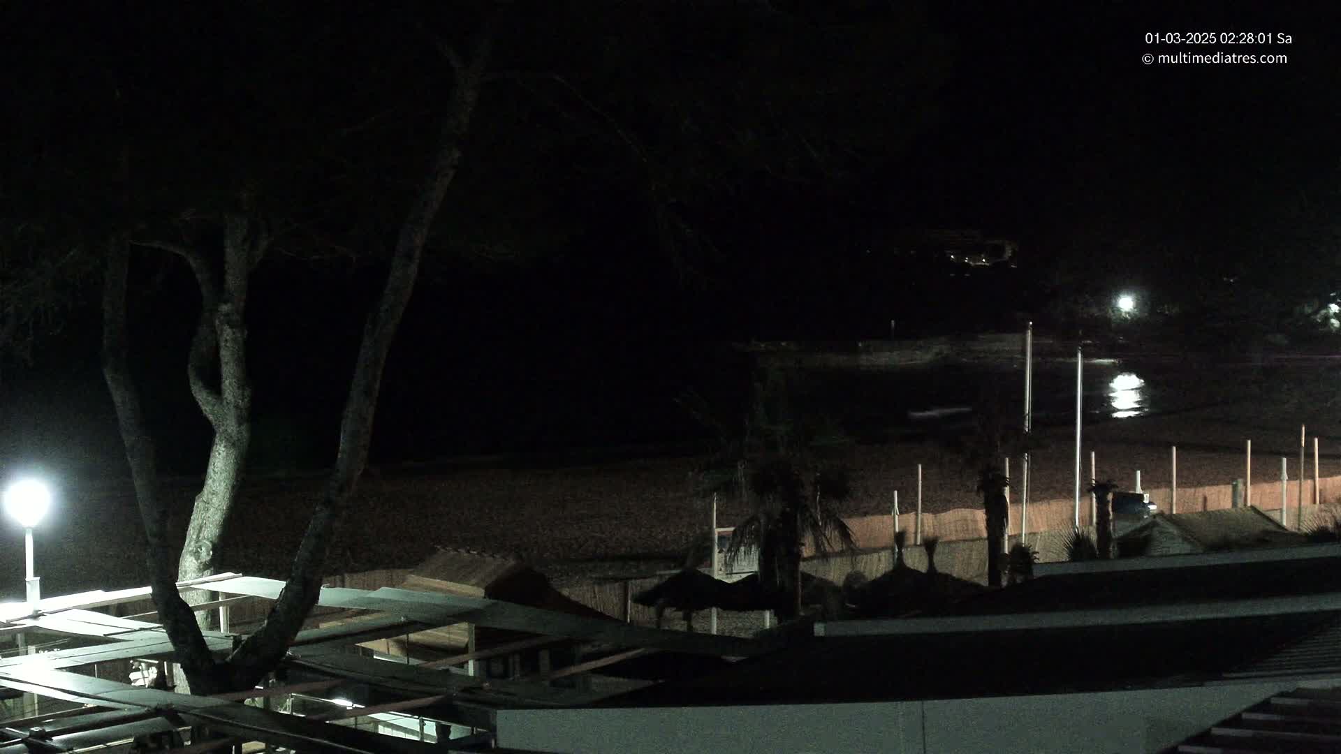 A nighttime view of a dark beach with some structures, trees, and palm trees, illuminated by a nearby lamppost.